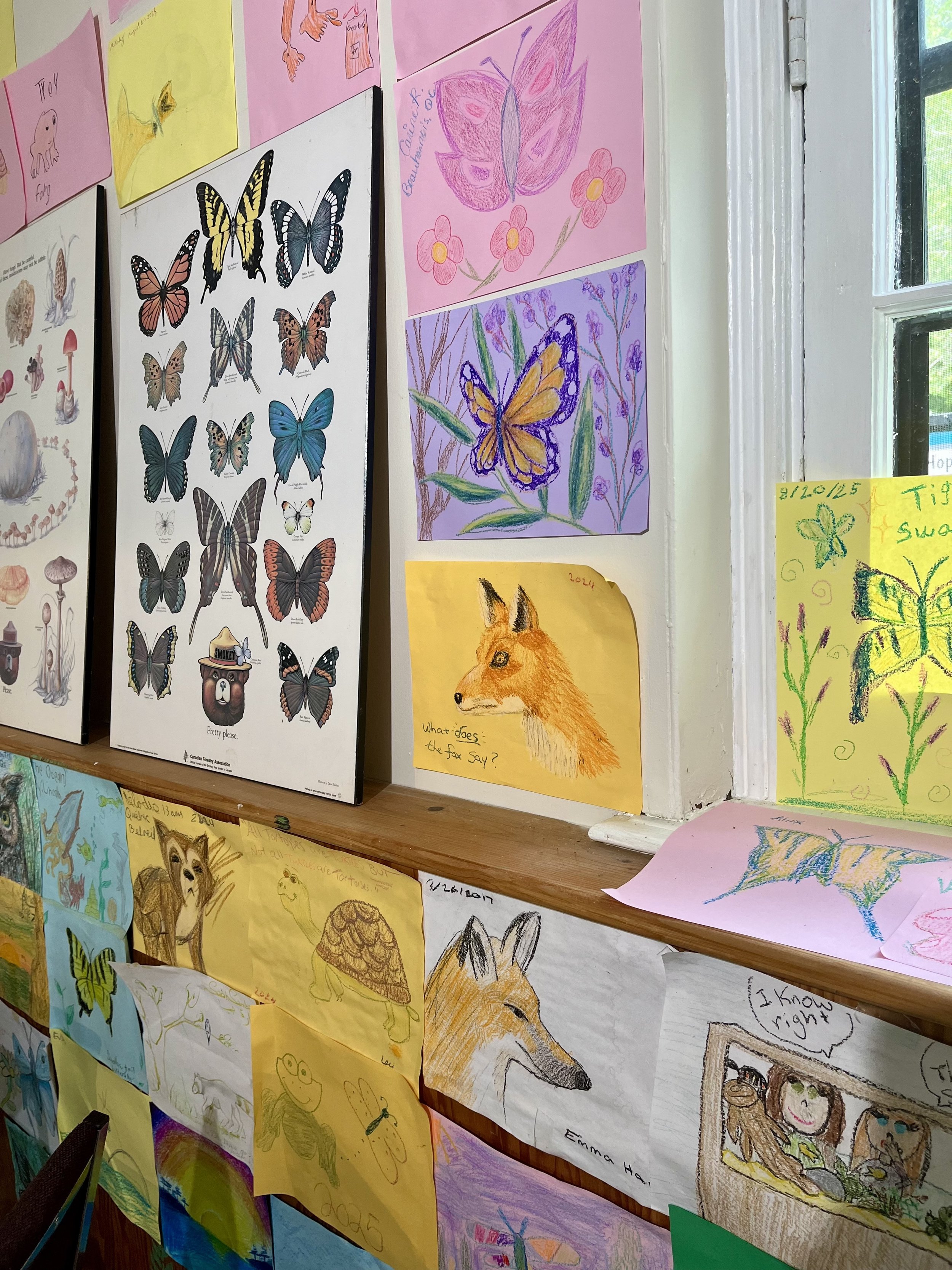 Nature Study, Time Outdoors and Taking the Pressure off of Ourselves and our Children