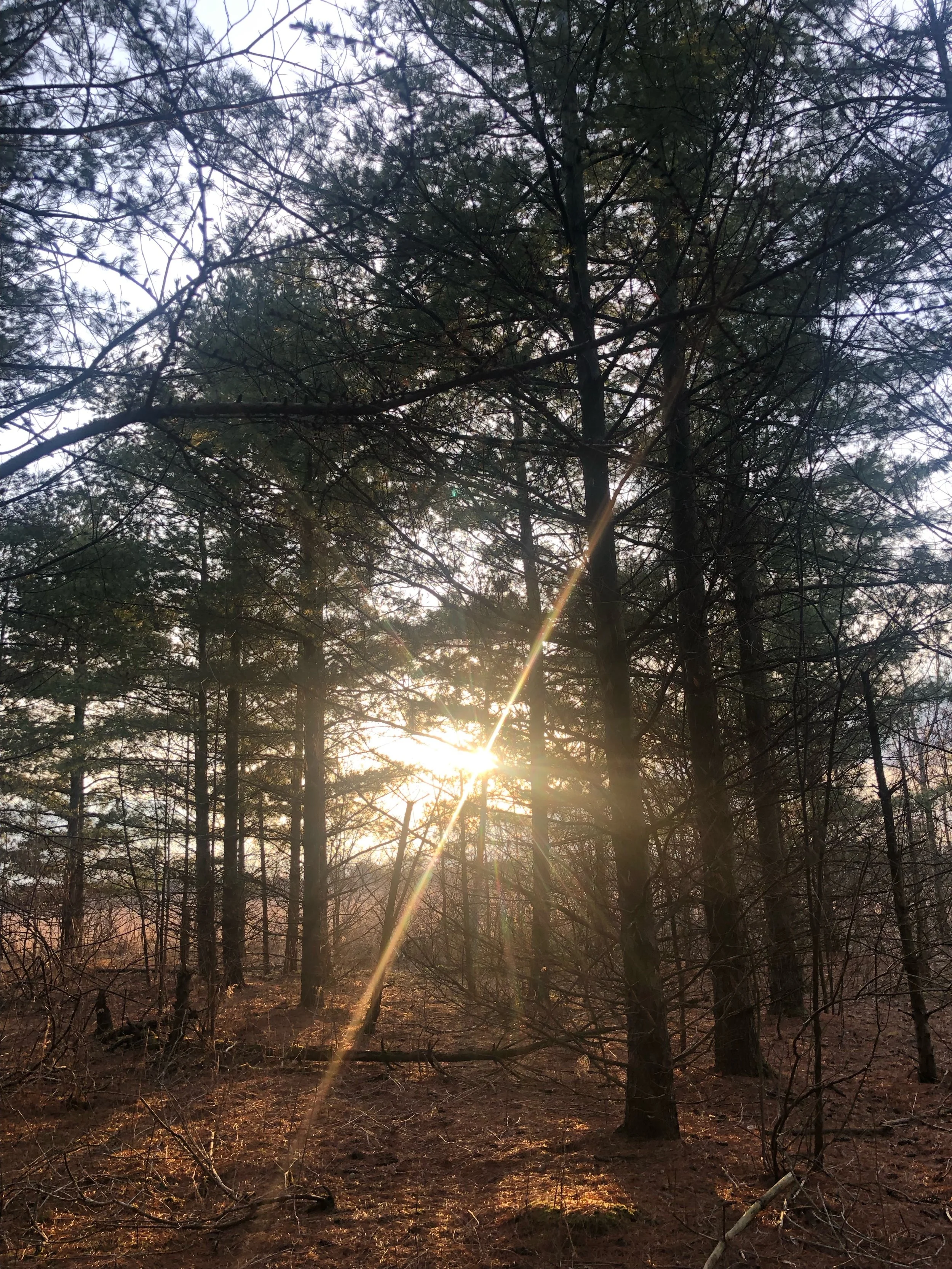 Embracing Midlife with an Unschooling Mindset