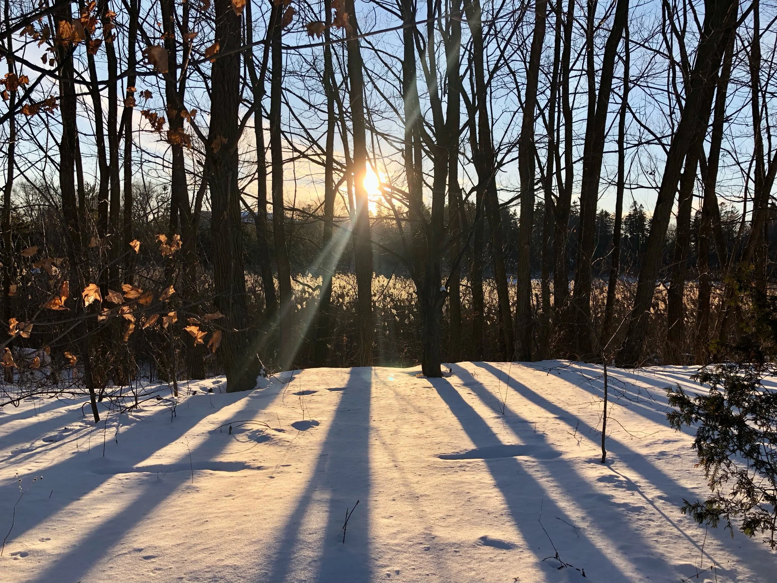 Deschooling Imperfectly - The Beauty of Intention