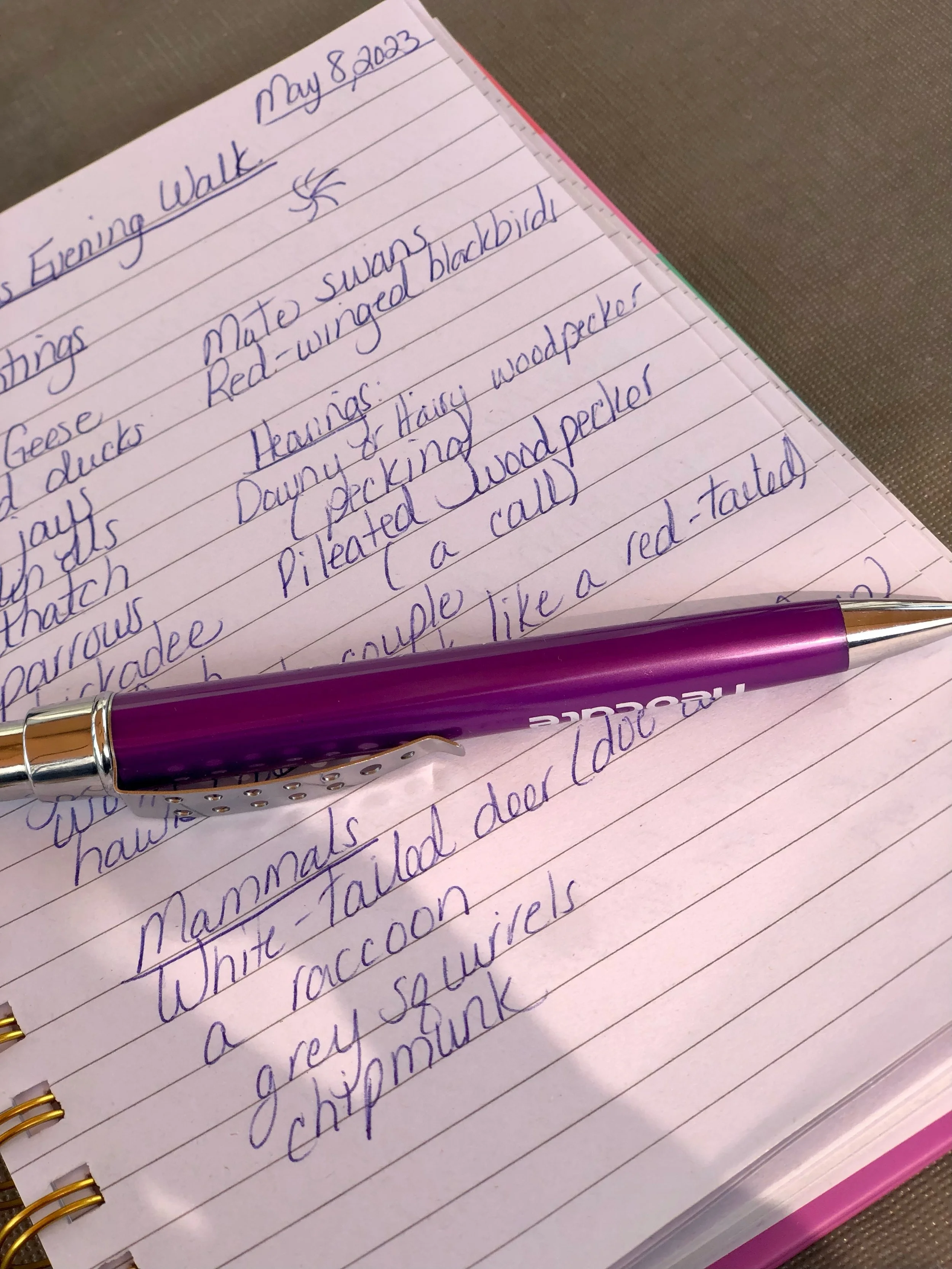 Lists or Not - How Do We and Those We Love Keep Organized?