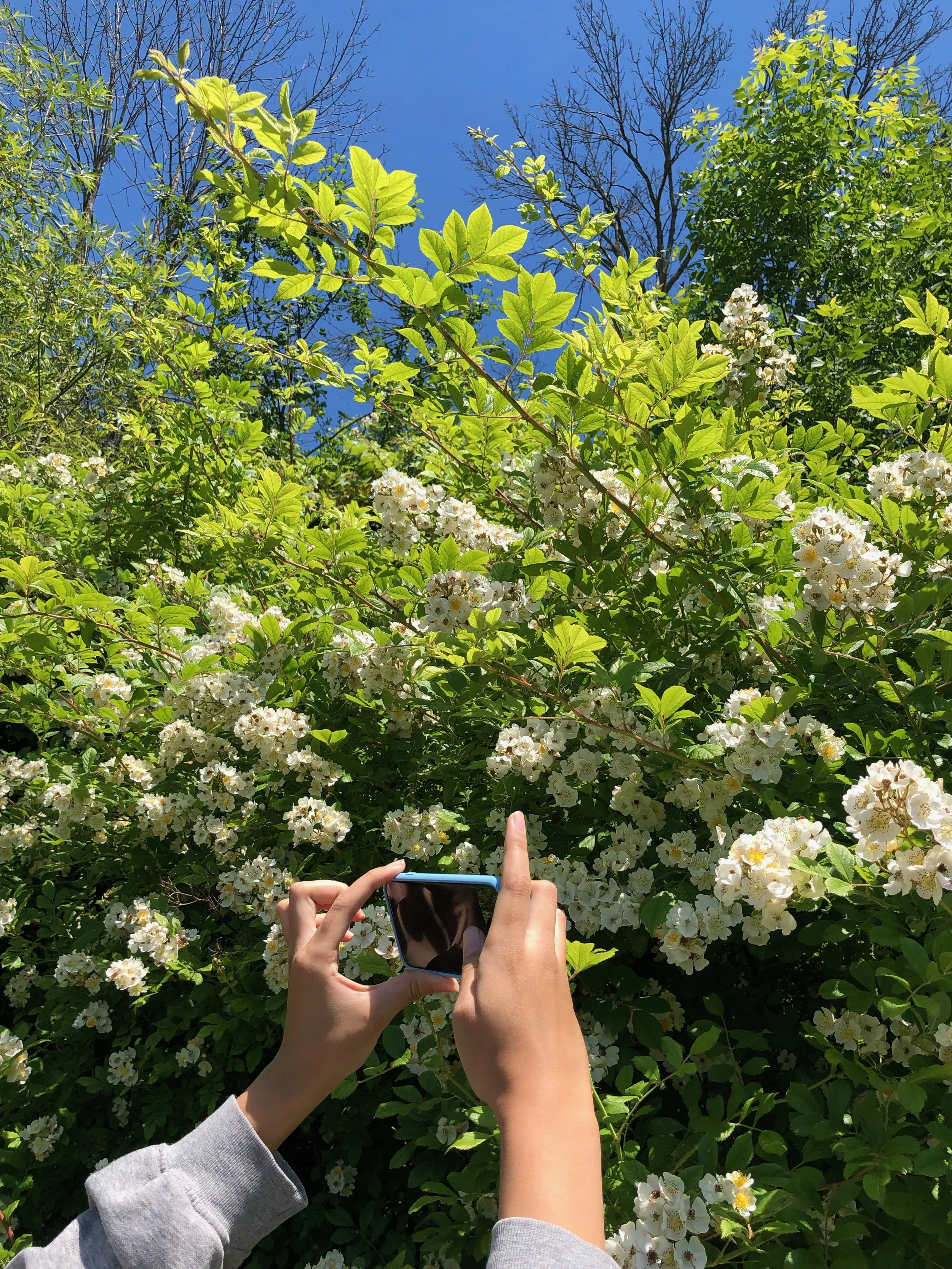 Perspectives on Self-care - For Our Children, For Ourselves