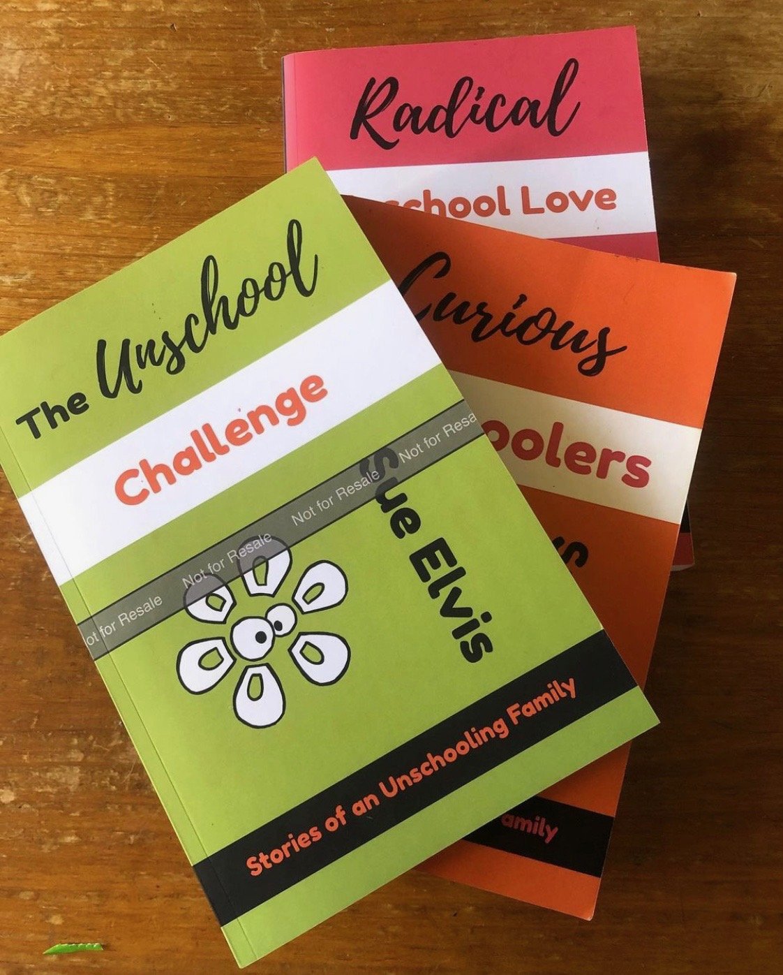 Deschooling Through the Lens of The Unschool Challenge - Part Two