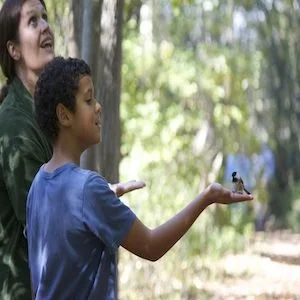Do We Deserve Joy? Unpacking Perspectives of Joy in Home Education