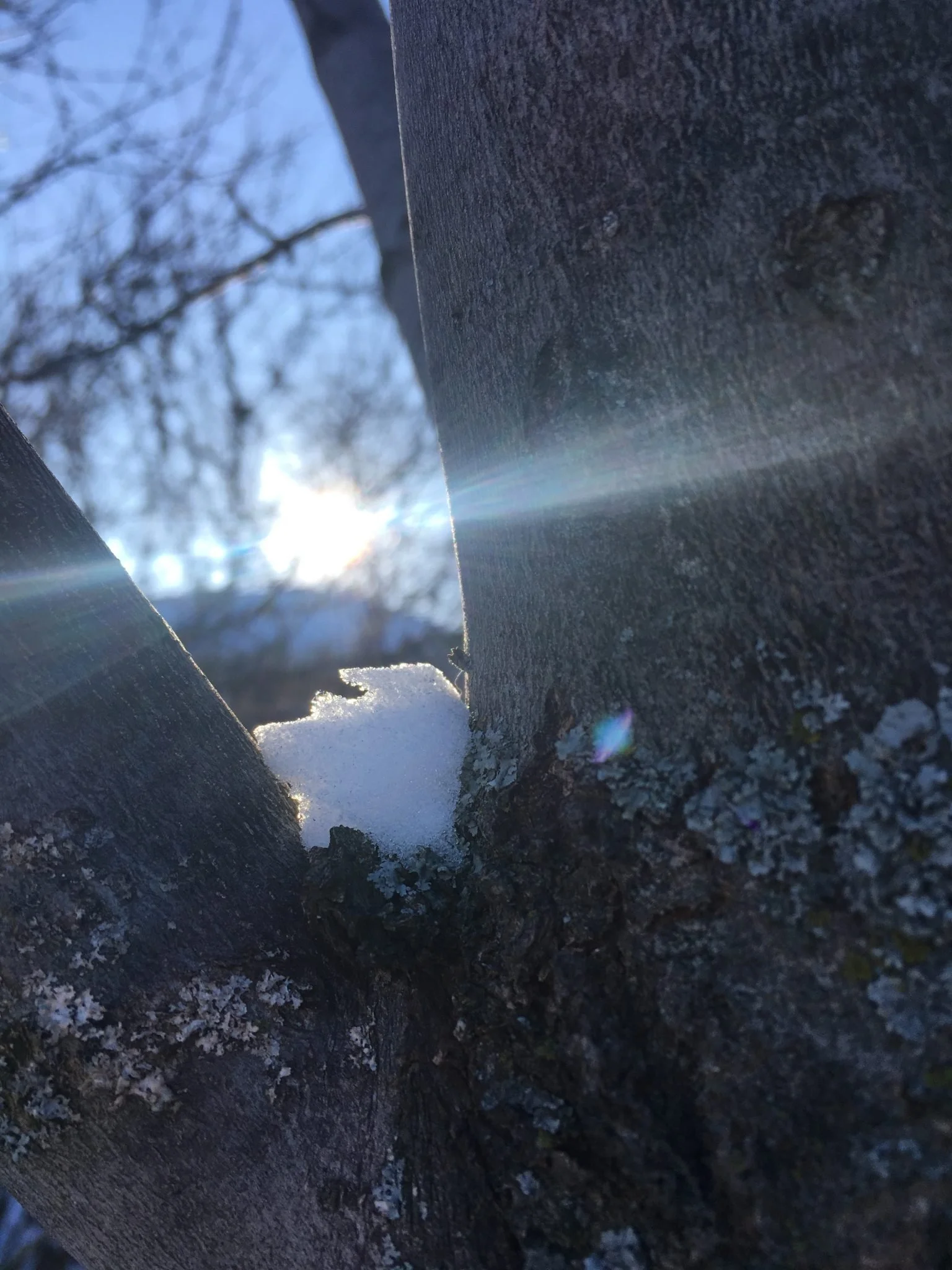 Shining our Light: Kindness as Mindset