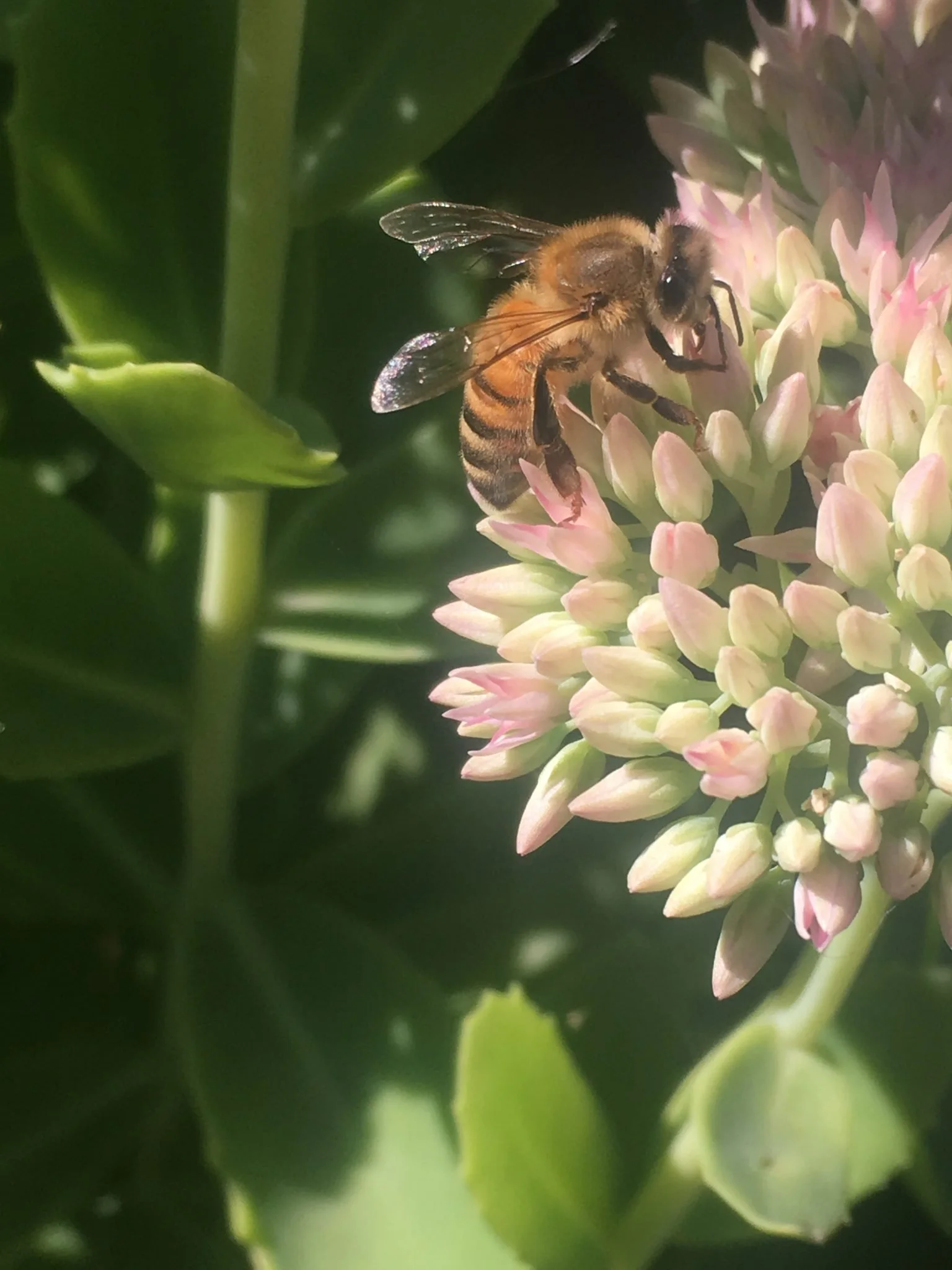 Ah, September … the Month that’s Been in Haiku