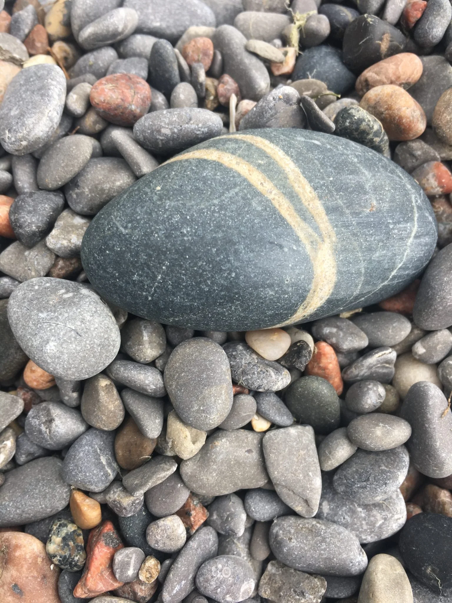 Homeschooling during Covid: Sifting through a few Pros and Cons