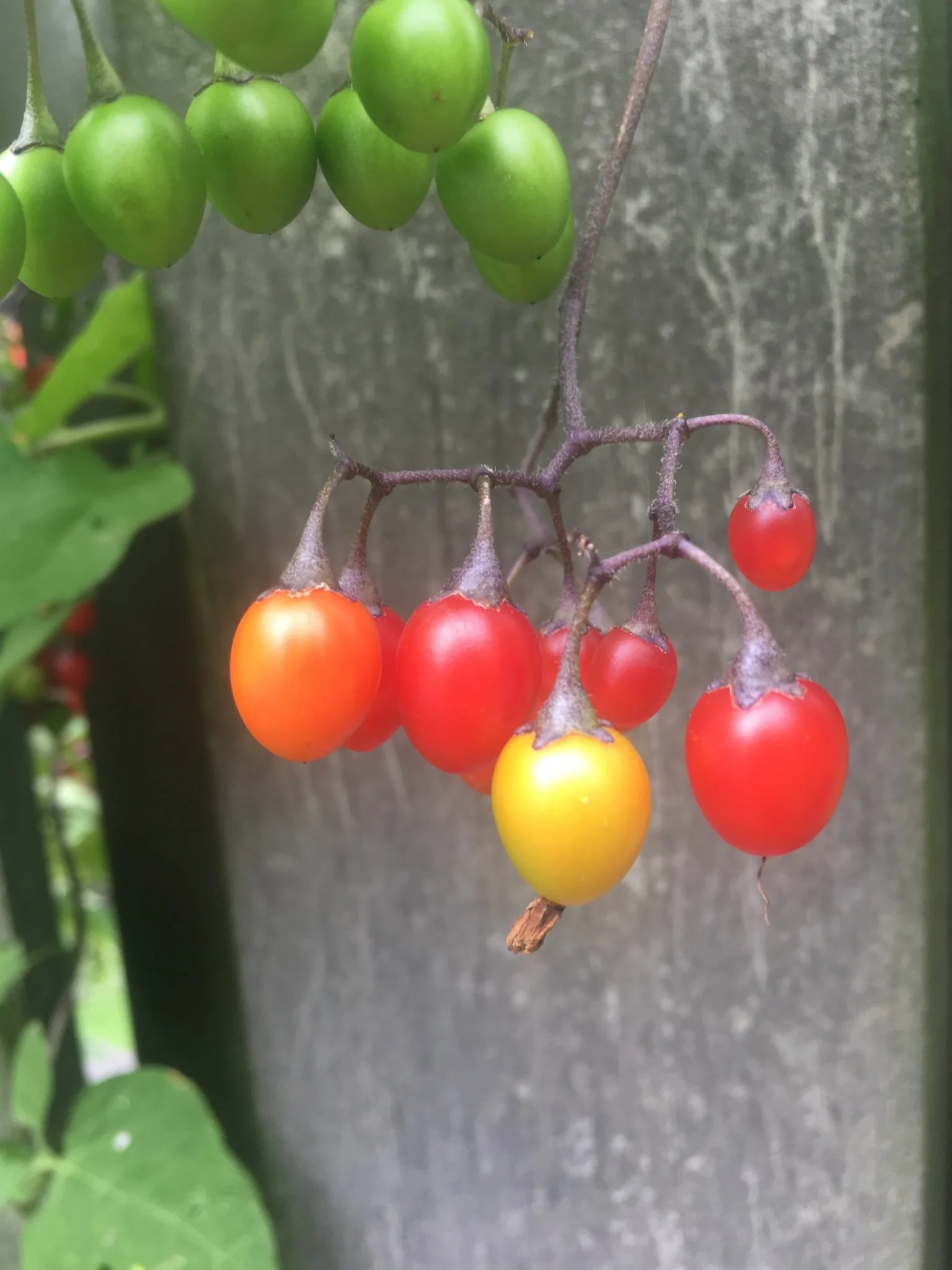 A Summer of Stories - Just Everyday, Ordinary Learning
