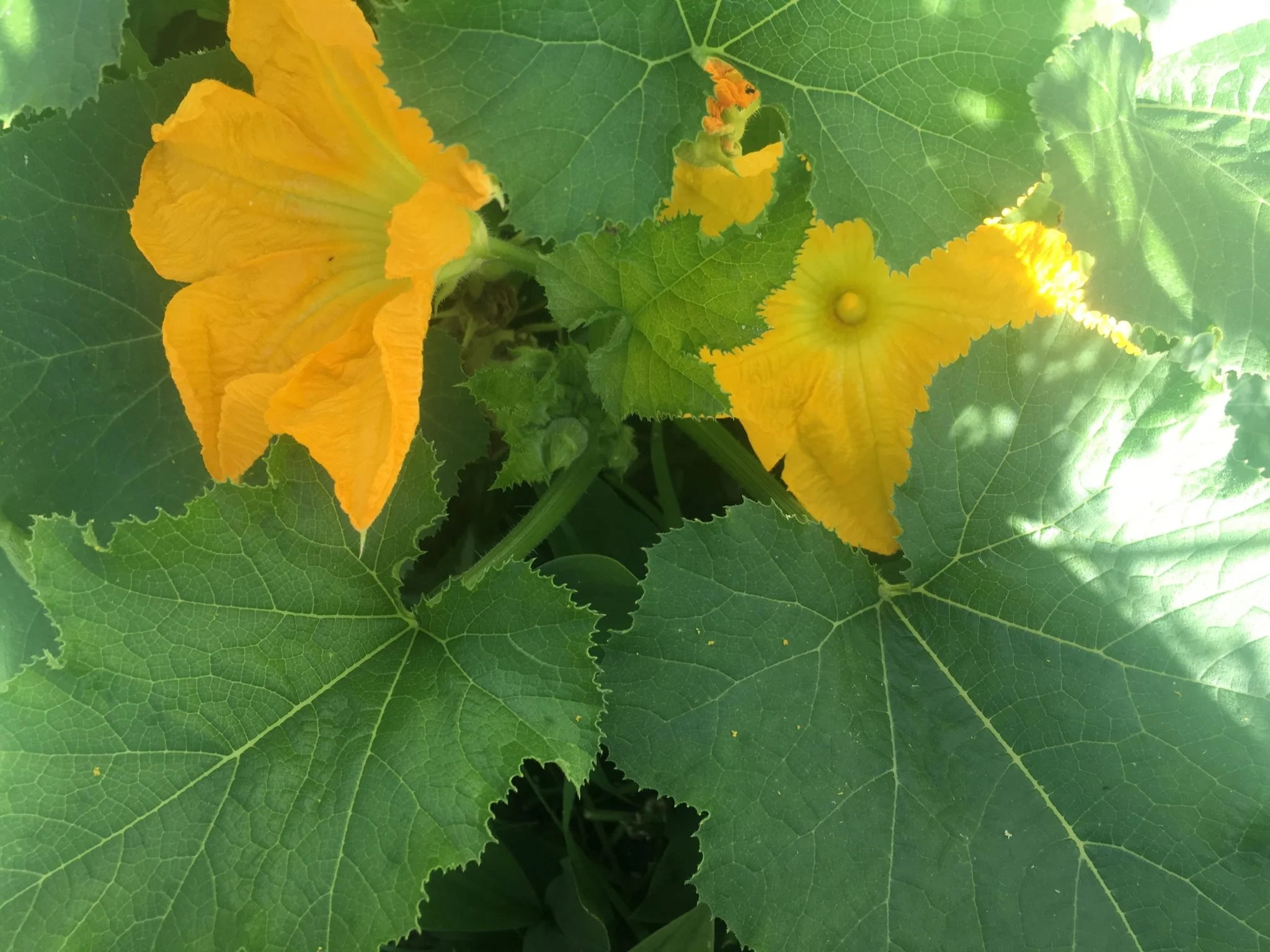 A Summer of Stories - Making the Most of Open Time