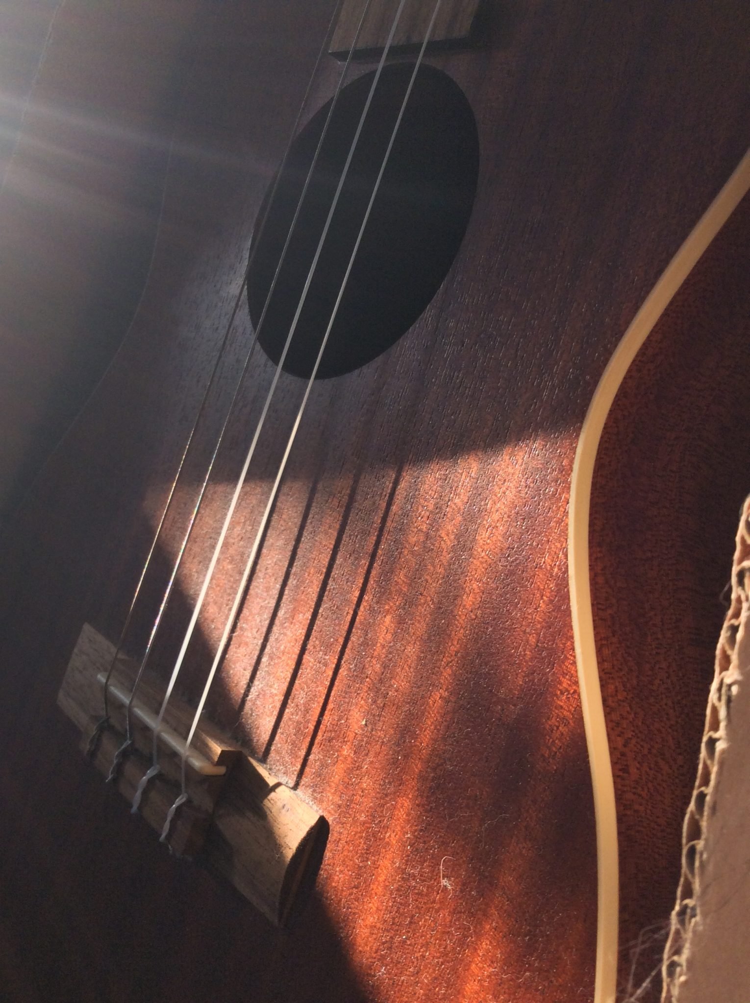 Just Noticing Light:)