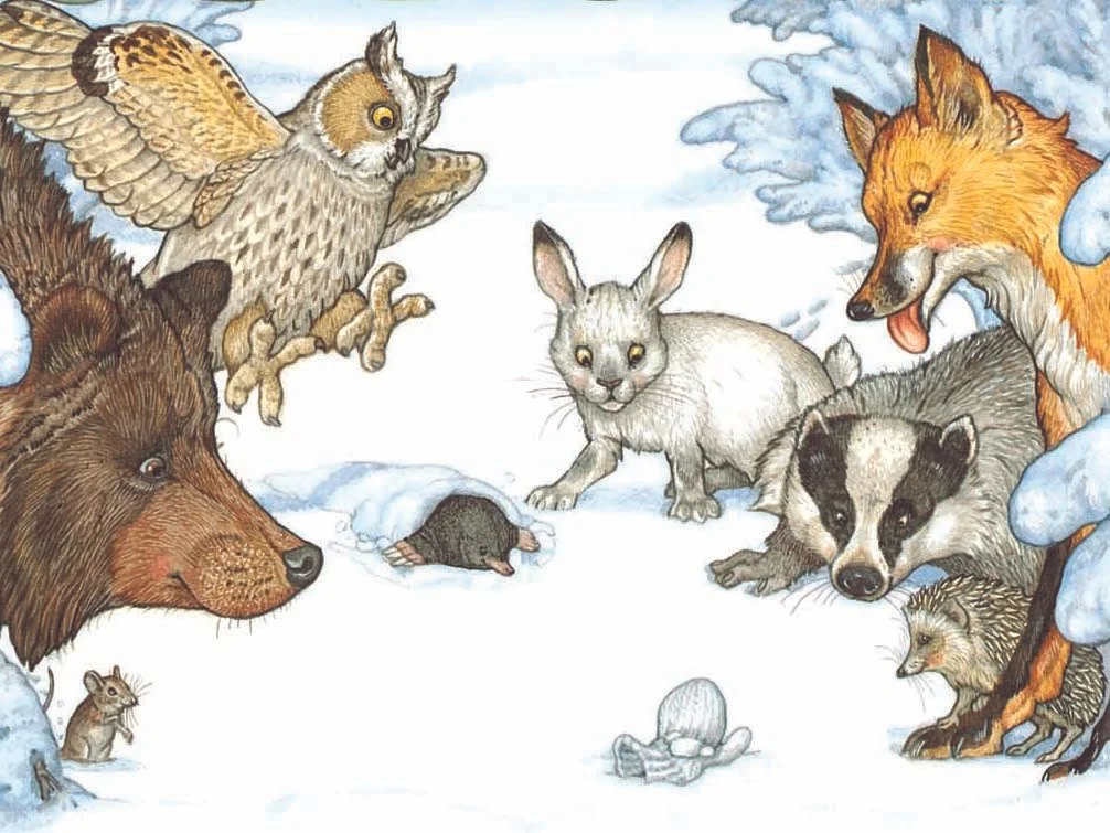 The Wonderful World of Jan Brett