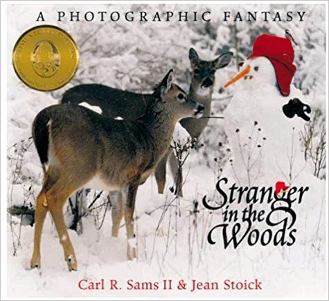 Winter Reading - Lesser Known Picture Books that are Worth the Find