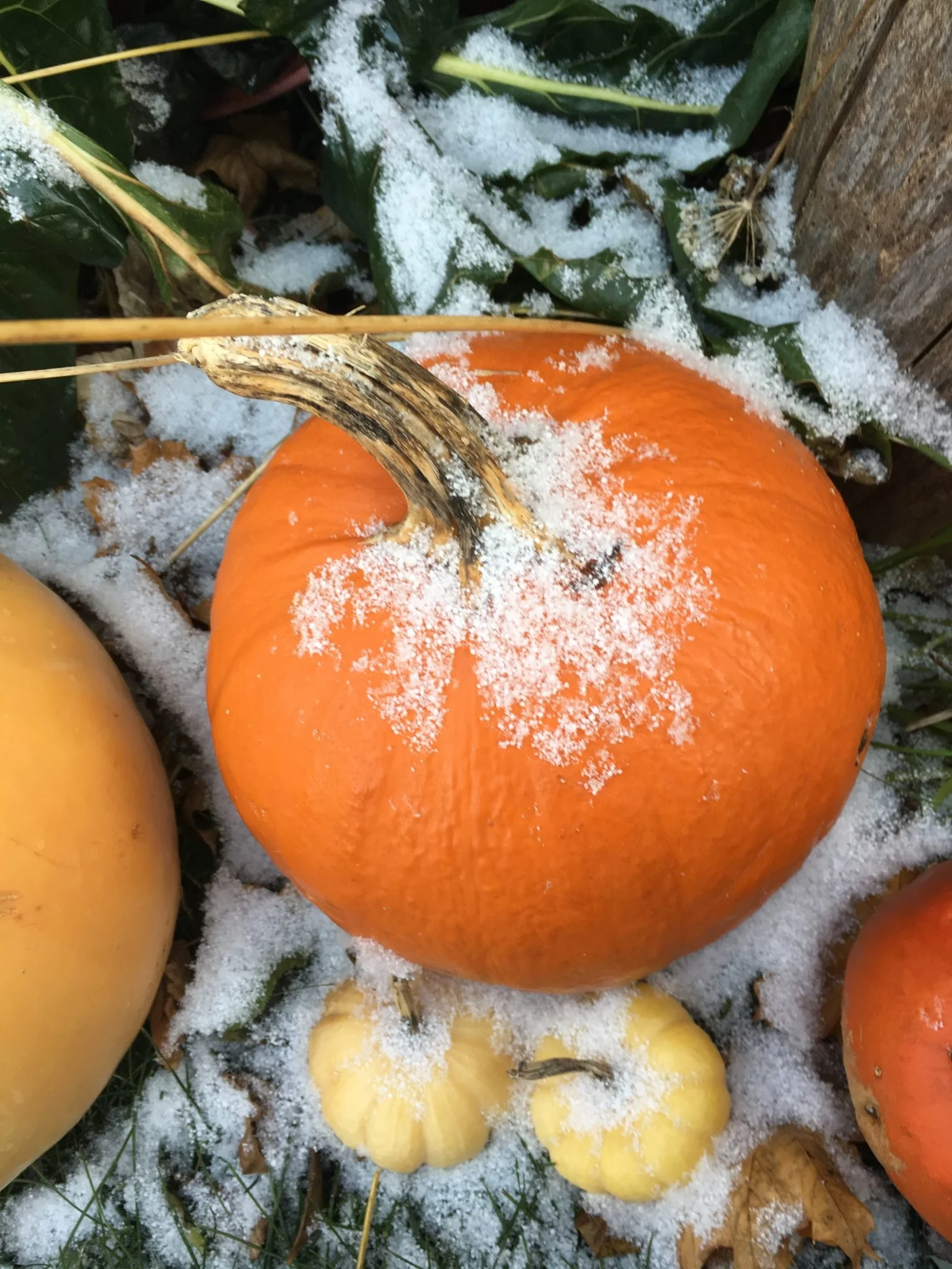 Being a Parent Between Seasons