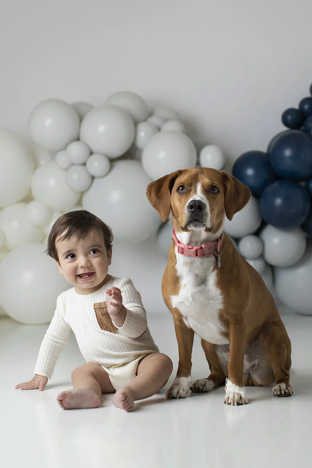 A smiling toddler sitting on a white floor next to a sitting brown and white dog with a pink collar, with white and dark blue balloons in the background.