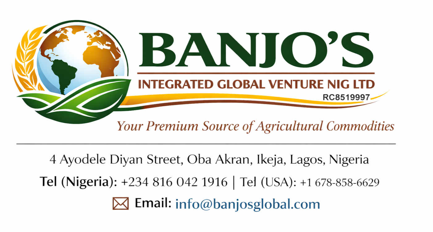 BANJO'S INTEGRATED GLOBAL VENTURE NIG LTD