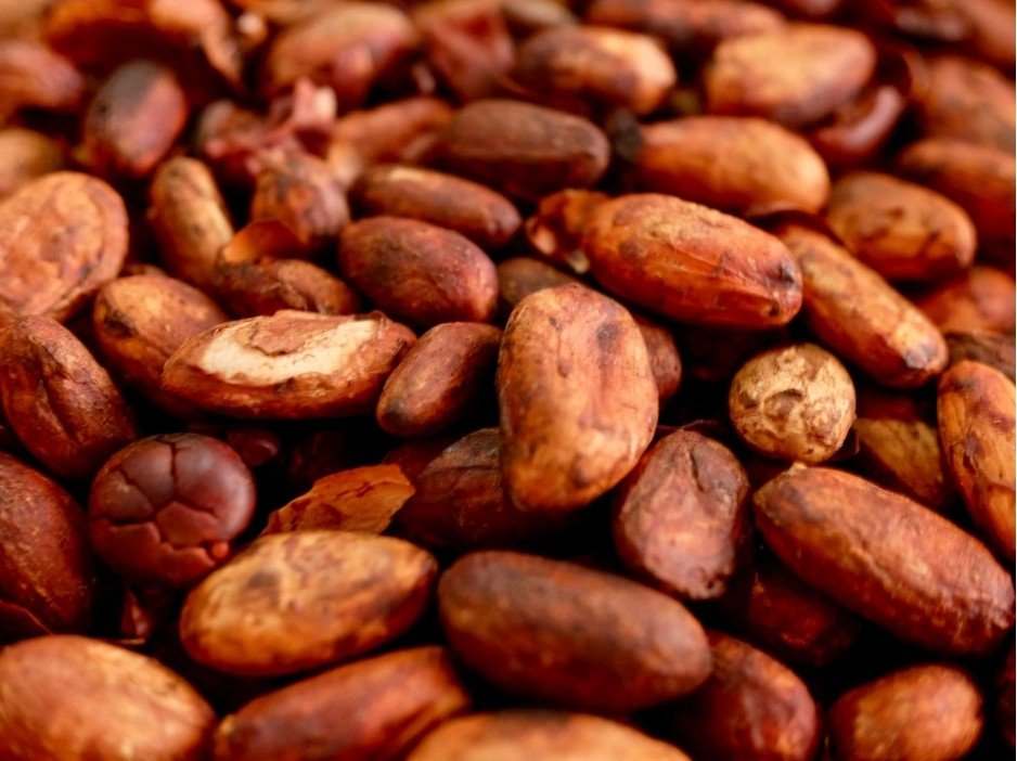 Cocoa Beans