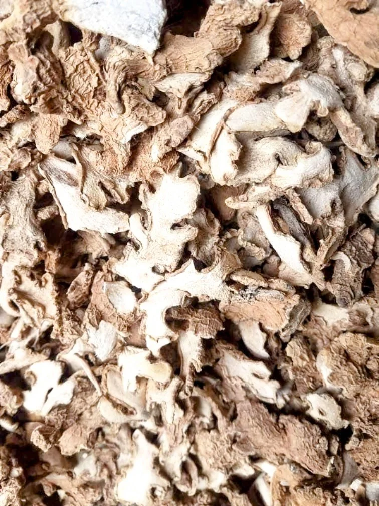 dried ginger1.jpeg
