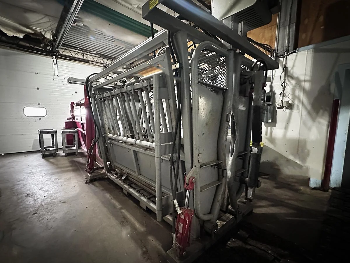 Our Cattle Facility