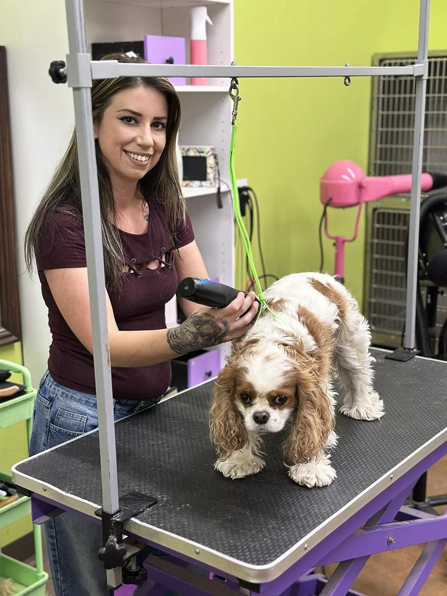 Grooming and More