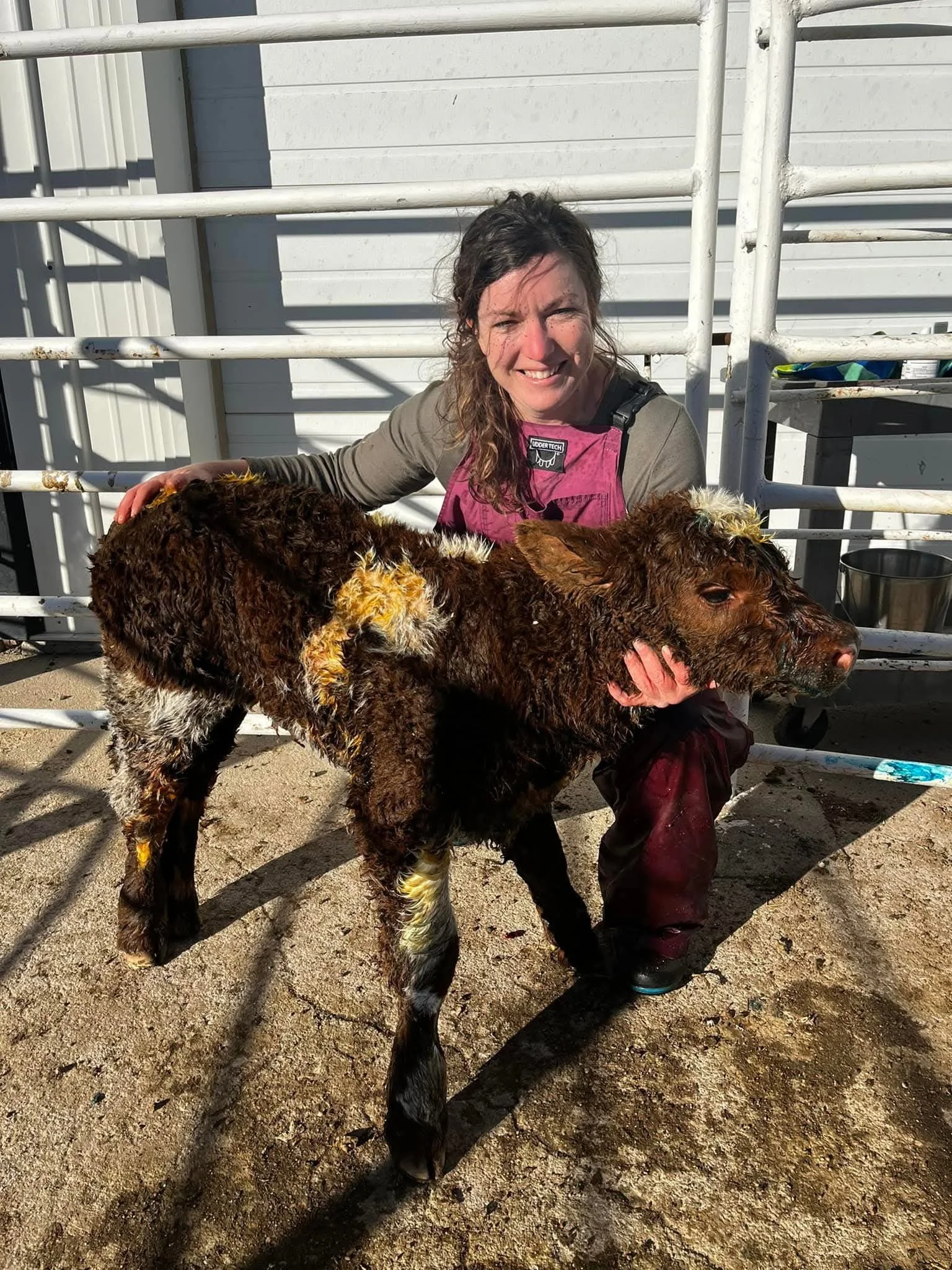 Cow/Calf Herd Health