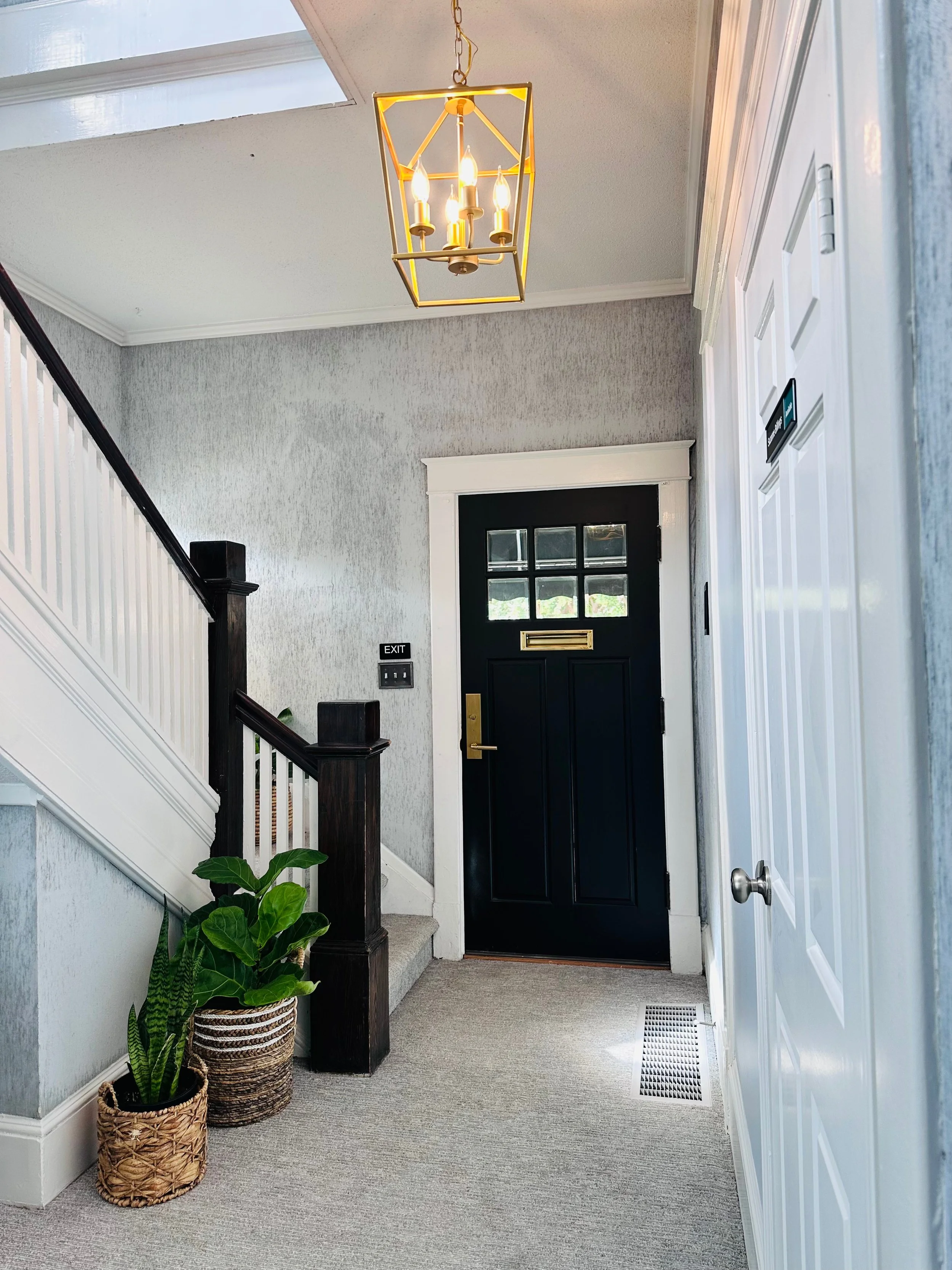 Entryway with black front door, white trim, gray patterned wallpaper, ceiling light fixture, green potted plants, and a white door on right.