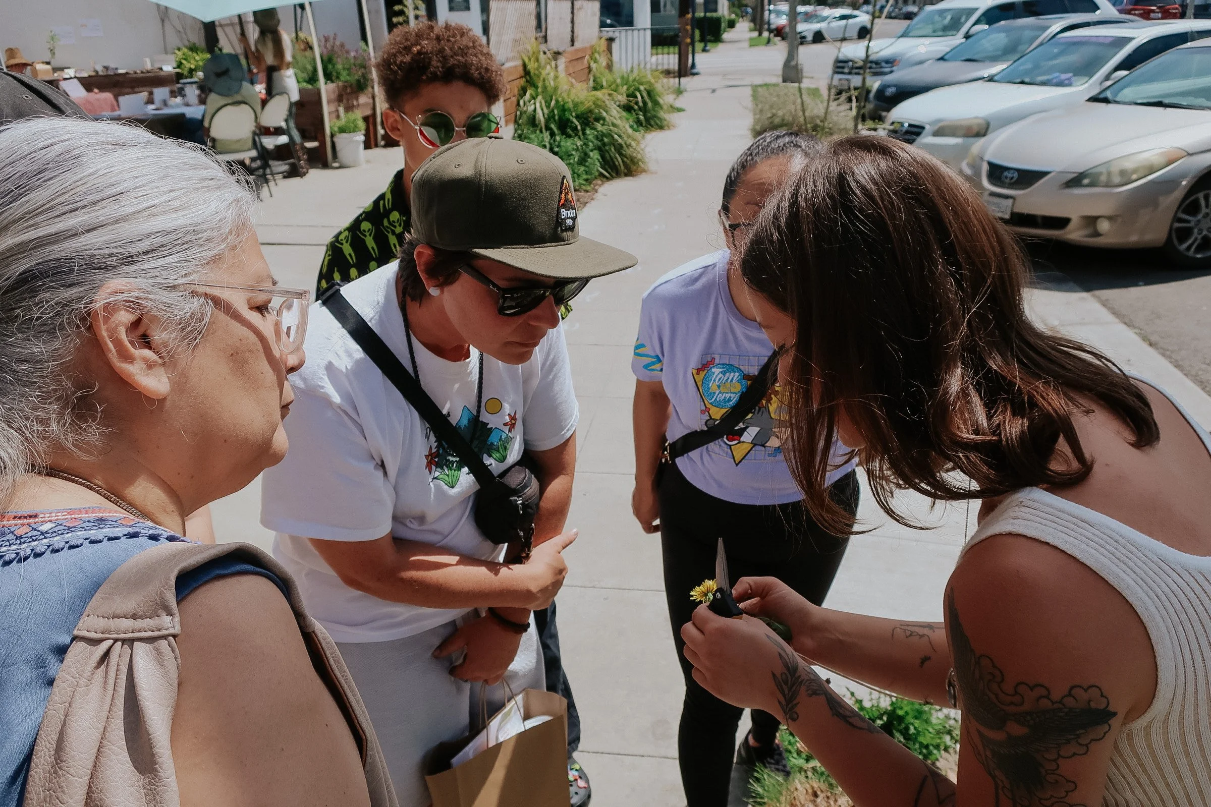 Urban Plant Walk, Green Wisdom Herbal Apothecary, 4.22.23