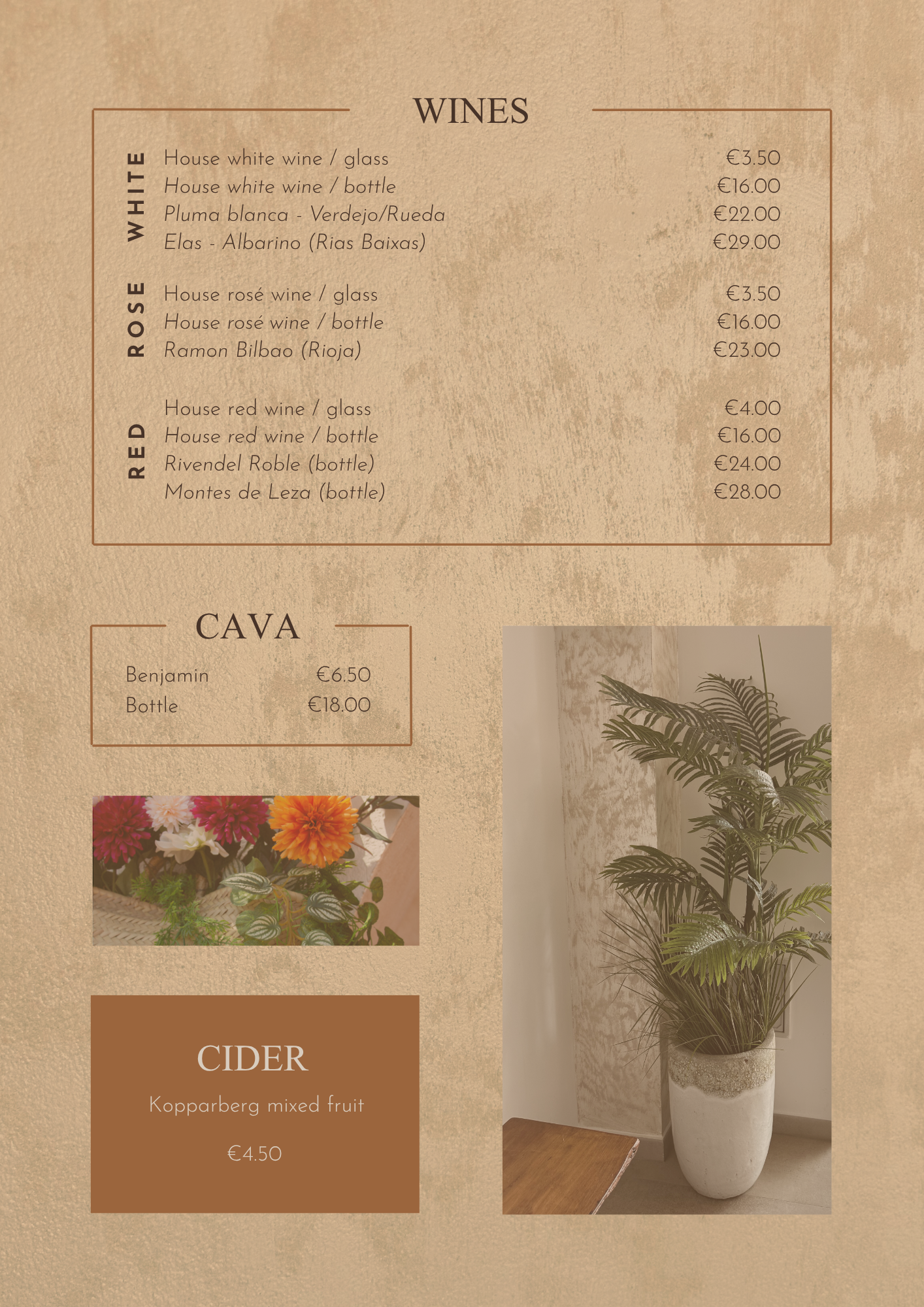 A menu listing wines, ciders, and a photo of a tall plant in a white pot next to a wall. The wine section includes white, rosé, and red wines with their prices, and a photograph of colorful flowers for the cider section.