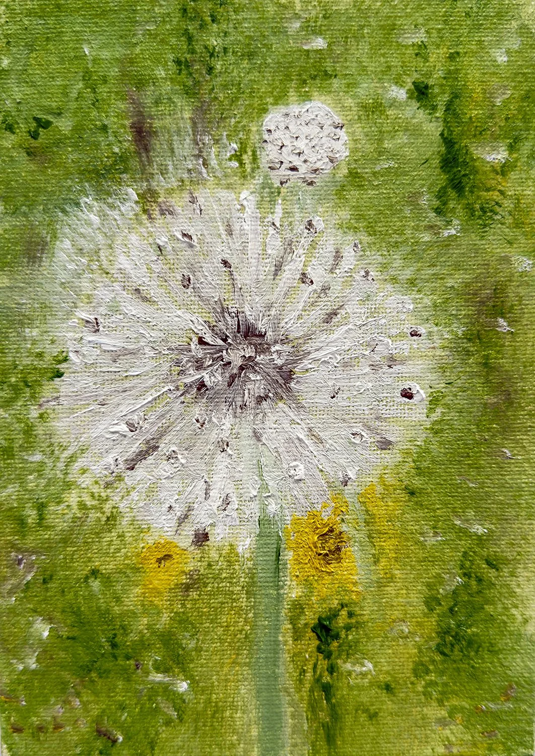 Dandelion