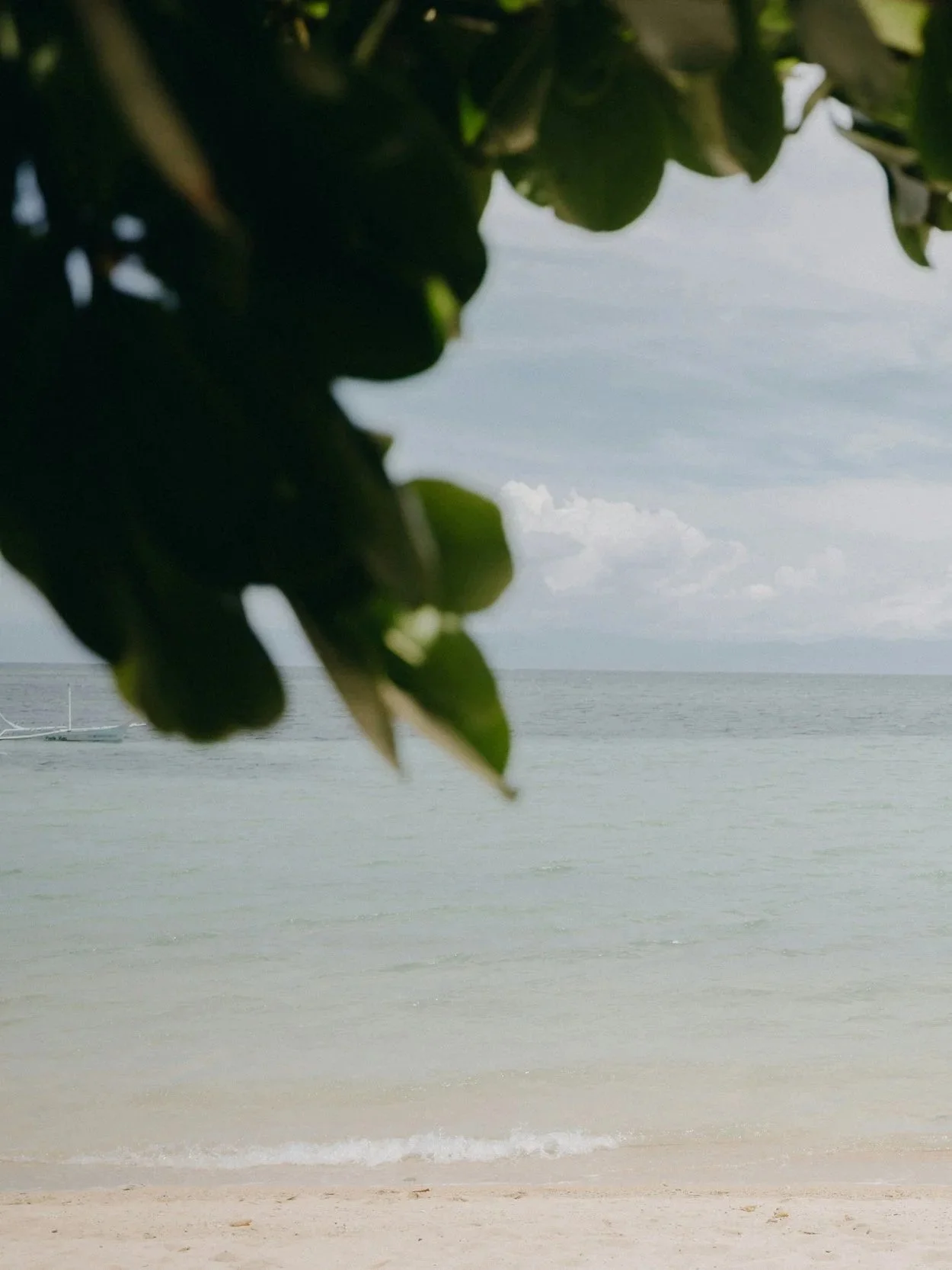 View of a sandy beach with gentle waves, partially obscured by dark green leaves of a tree or shrub in the foreground, and a cloudy sky above the ocean.