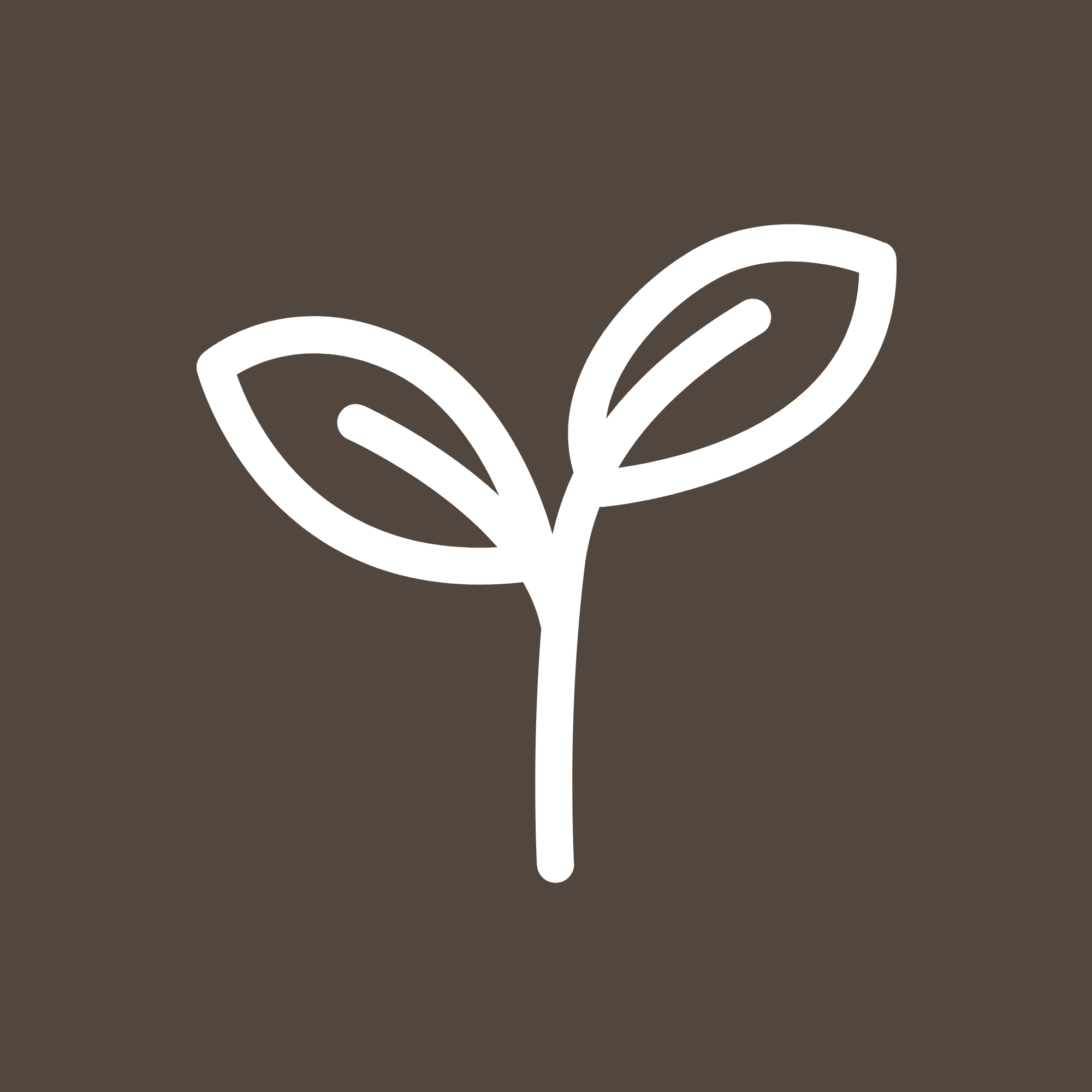 A minimalistic illustration of a white leafy sprout on a dark brown background.