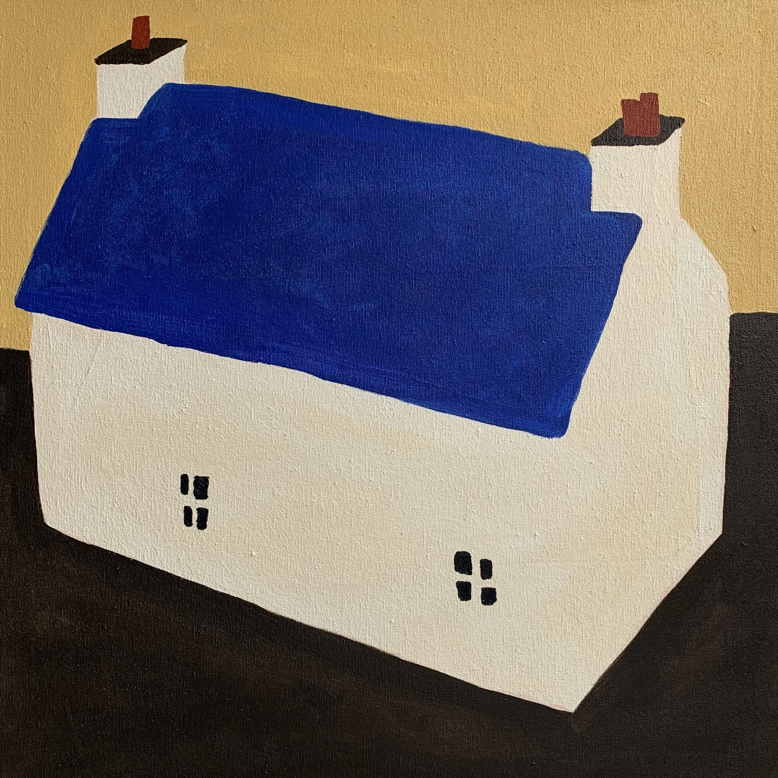 Blue Roof .jpg