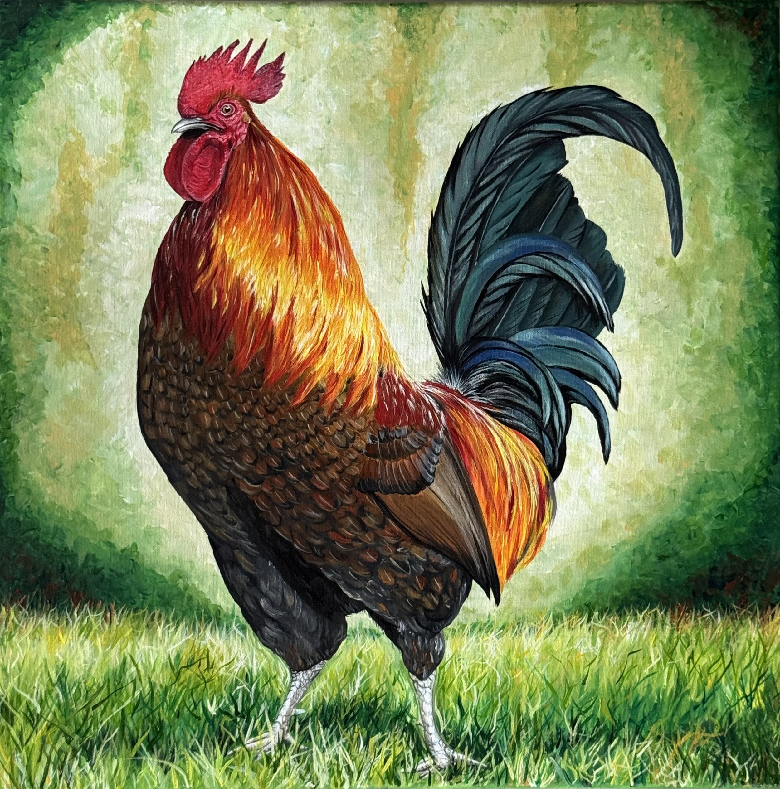 "Le Roi" The King,  Rooster 1