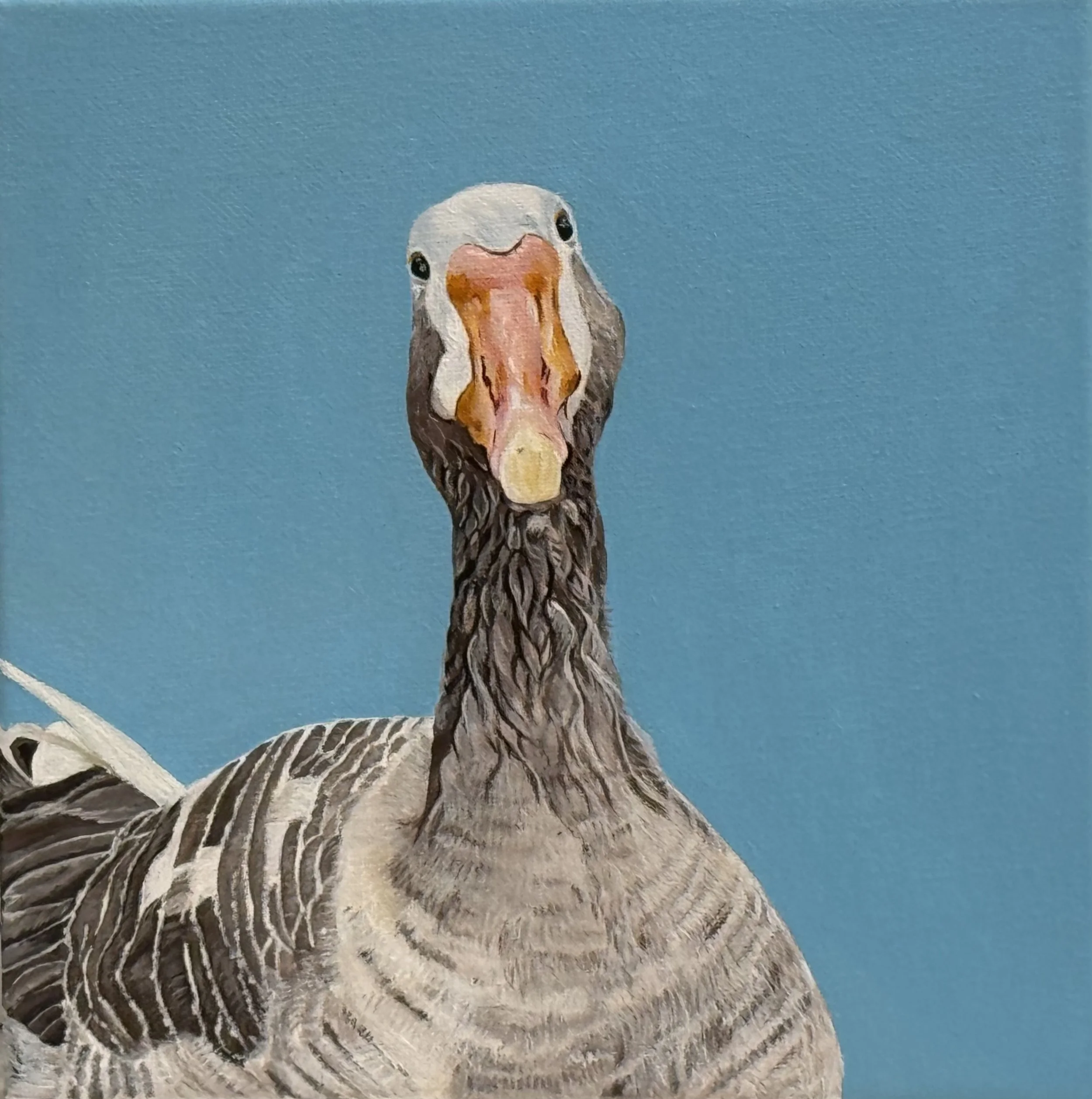 "Quack Quack" said the Duck