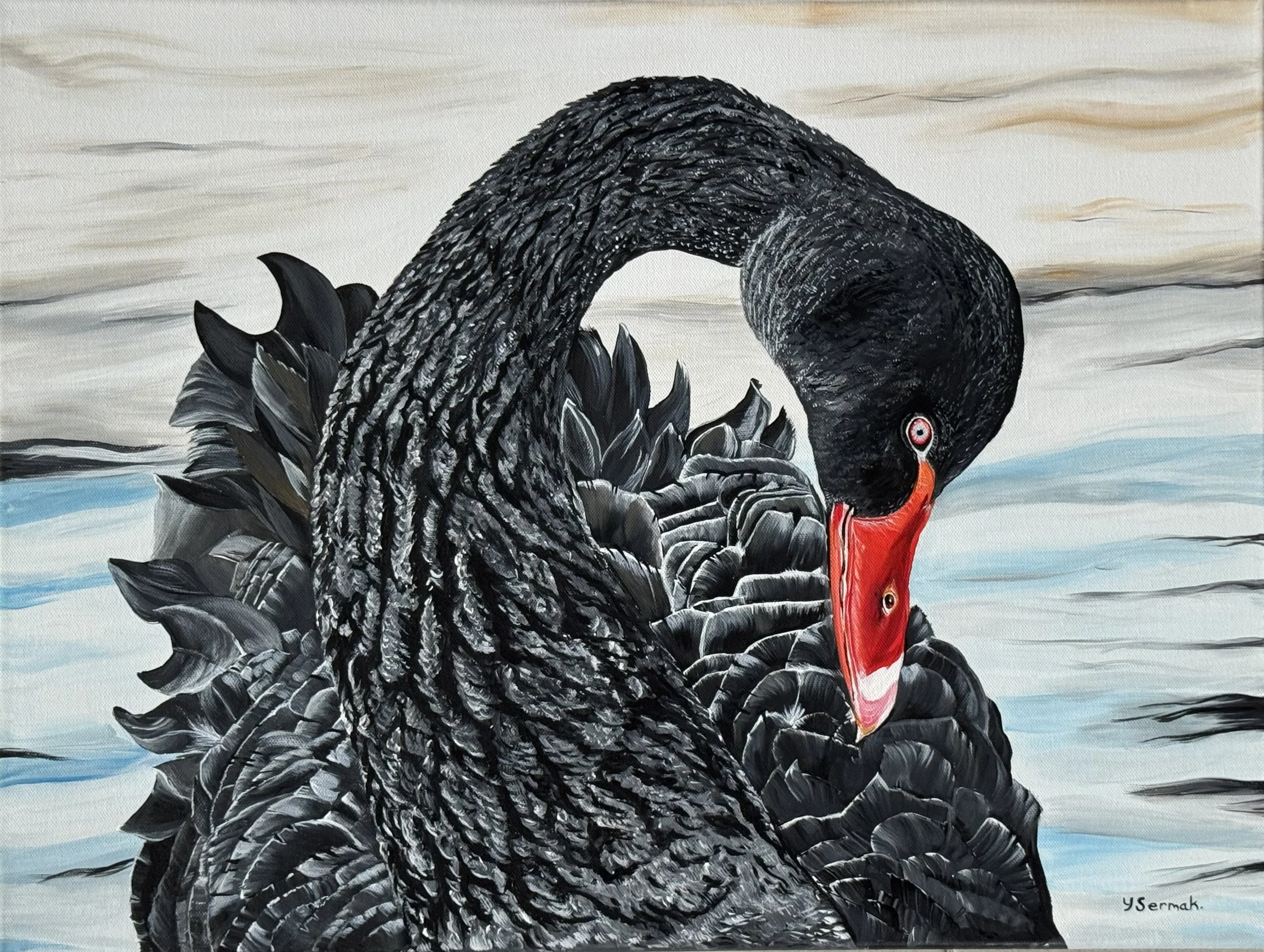 Painting of a black swan with a red beak, set against a water background with watercolors in neutral tones.