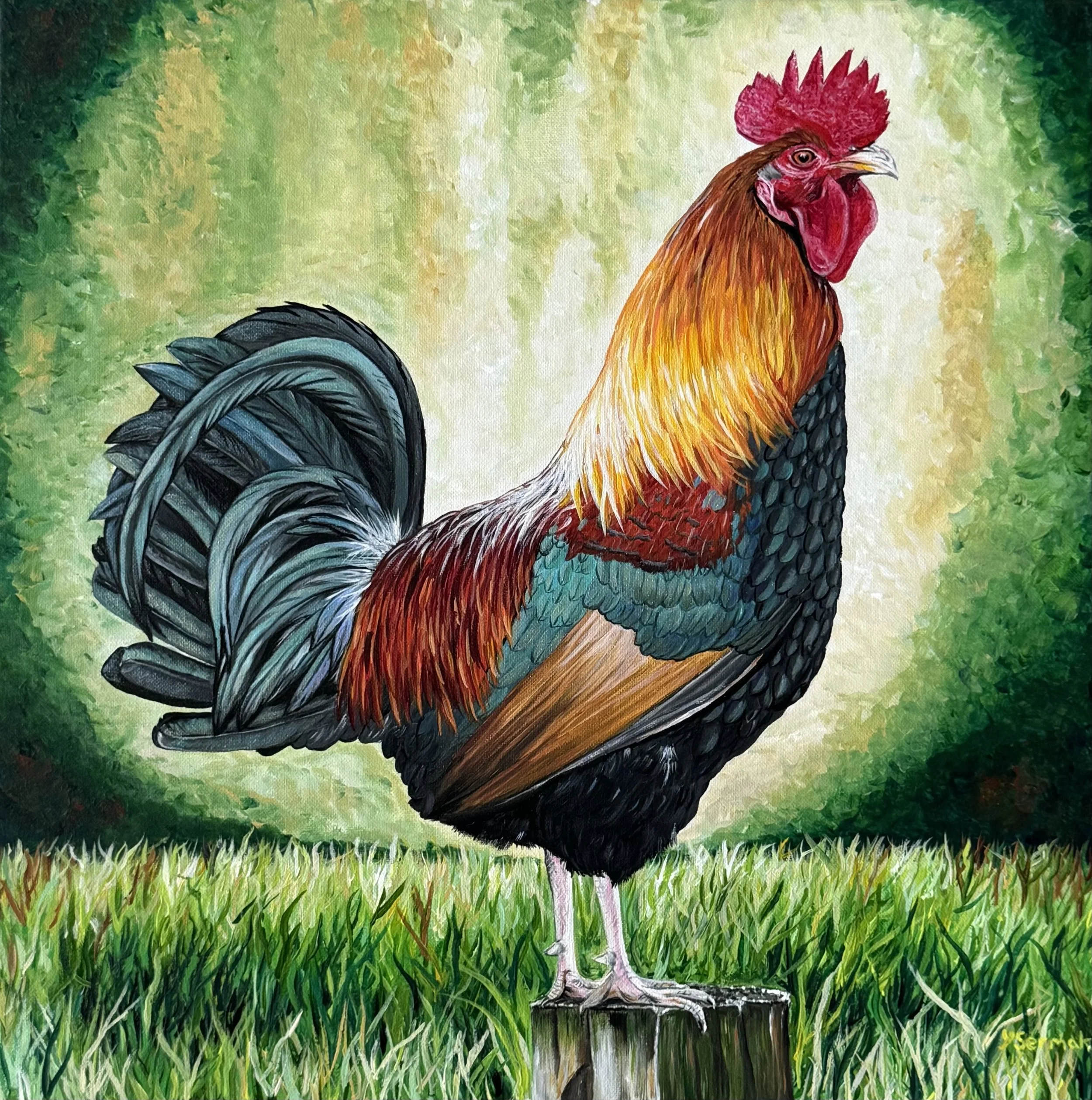 "Le Prince" The Prince - Roost 2