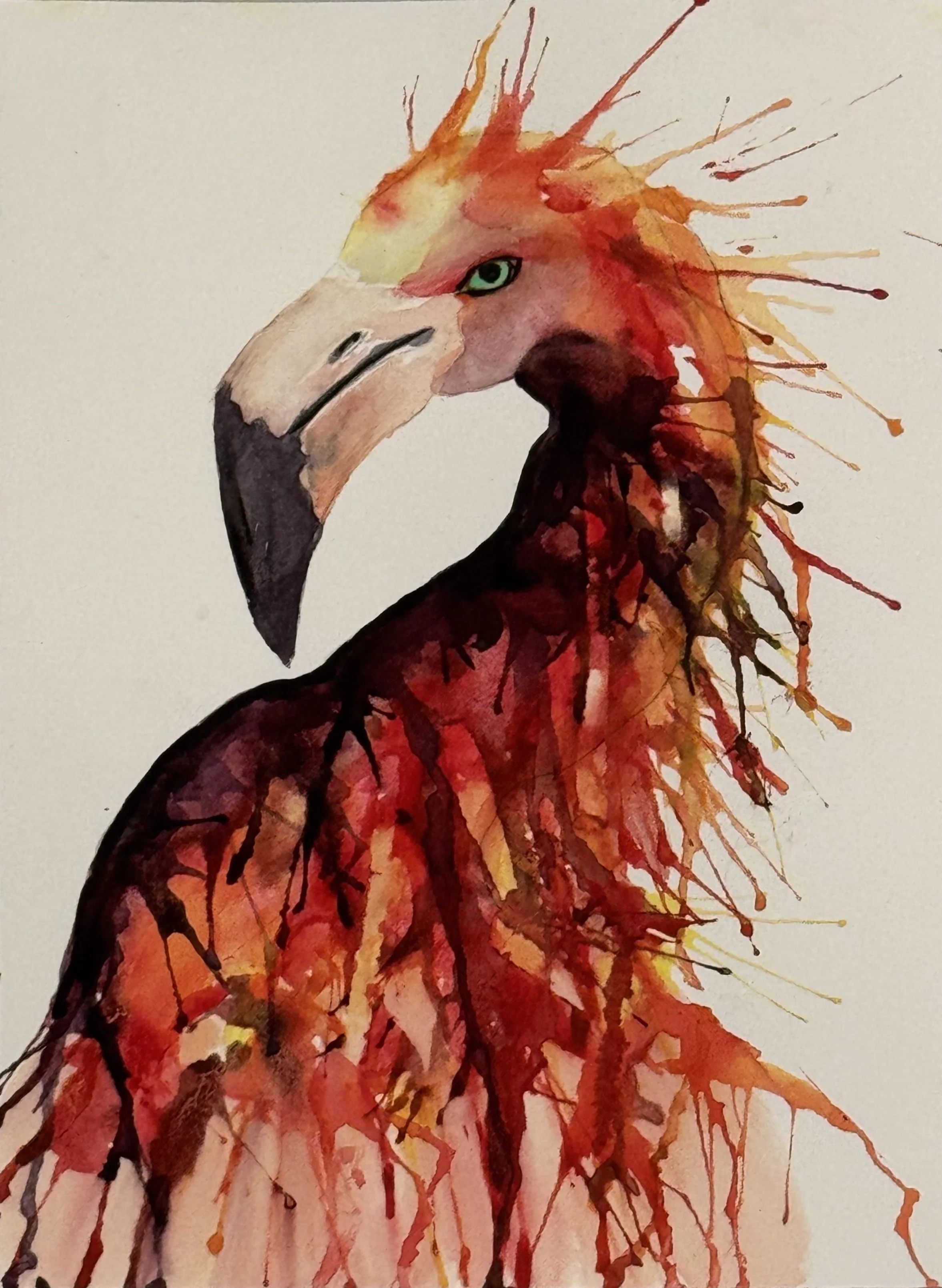 Flamingo