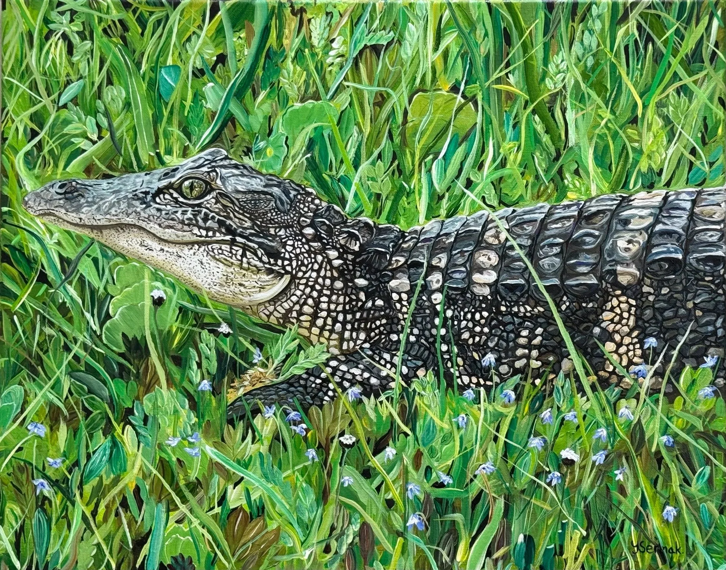 Illustration of a crocodile blending in with tall green grass and small blue flowers in a lush setting.