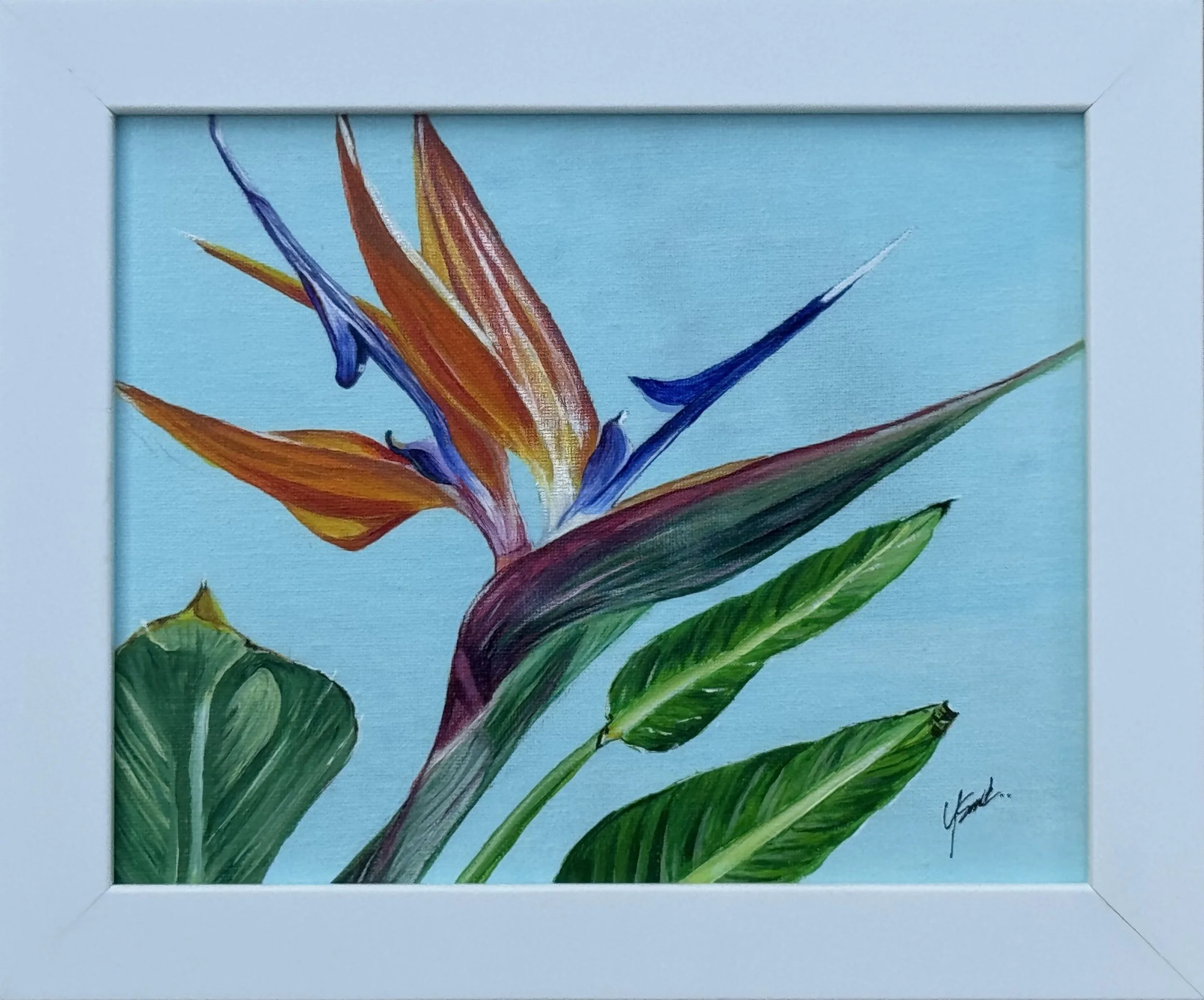 "Tropical Flame"