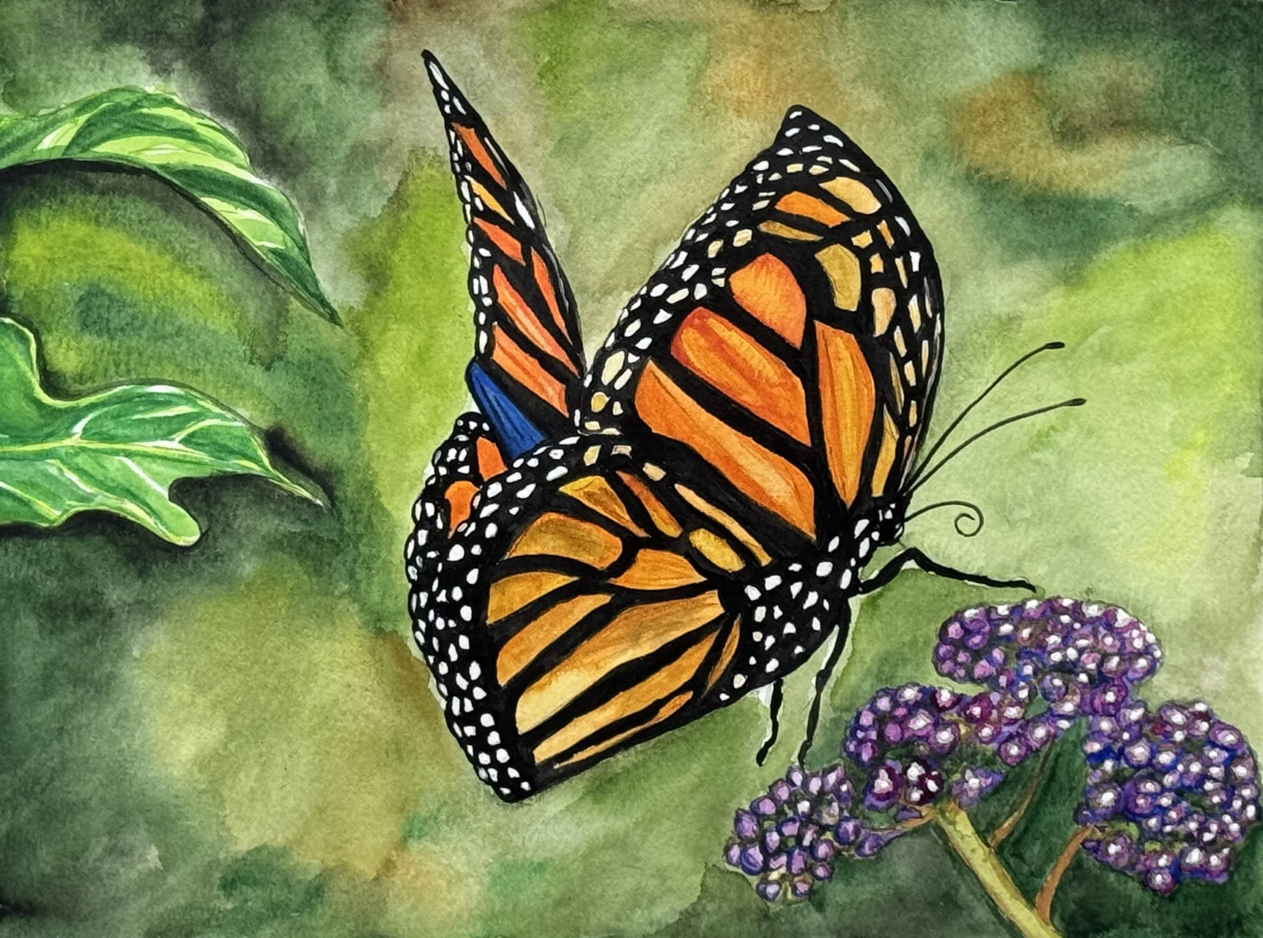 "Monarch" Butterfly