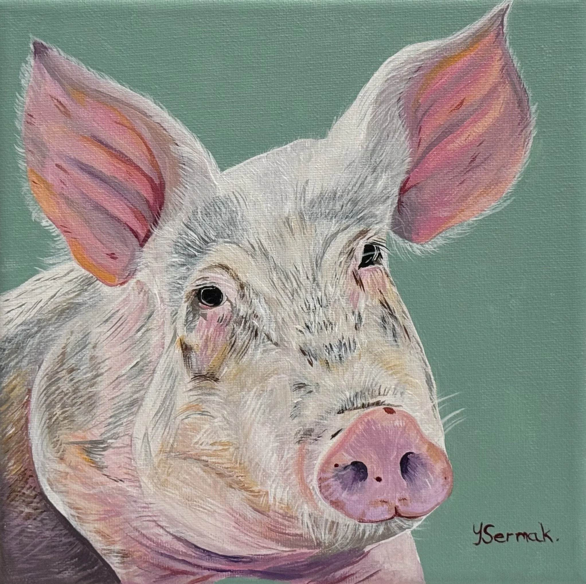 "Oink Oink "said the Pig