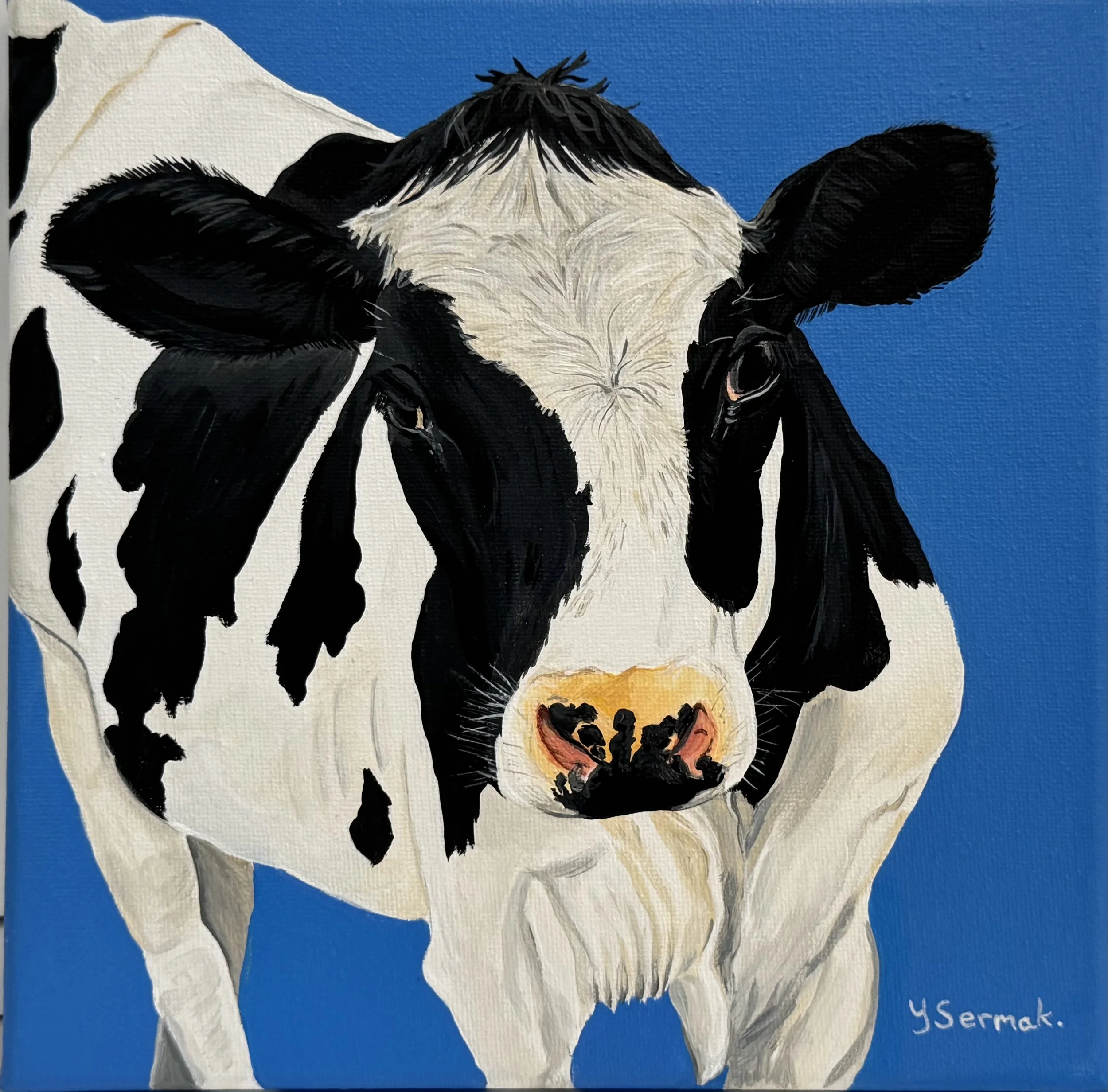 "Moo Moo" Said the Cow