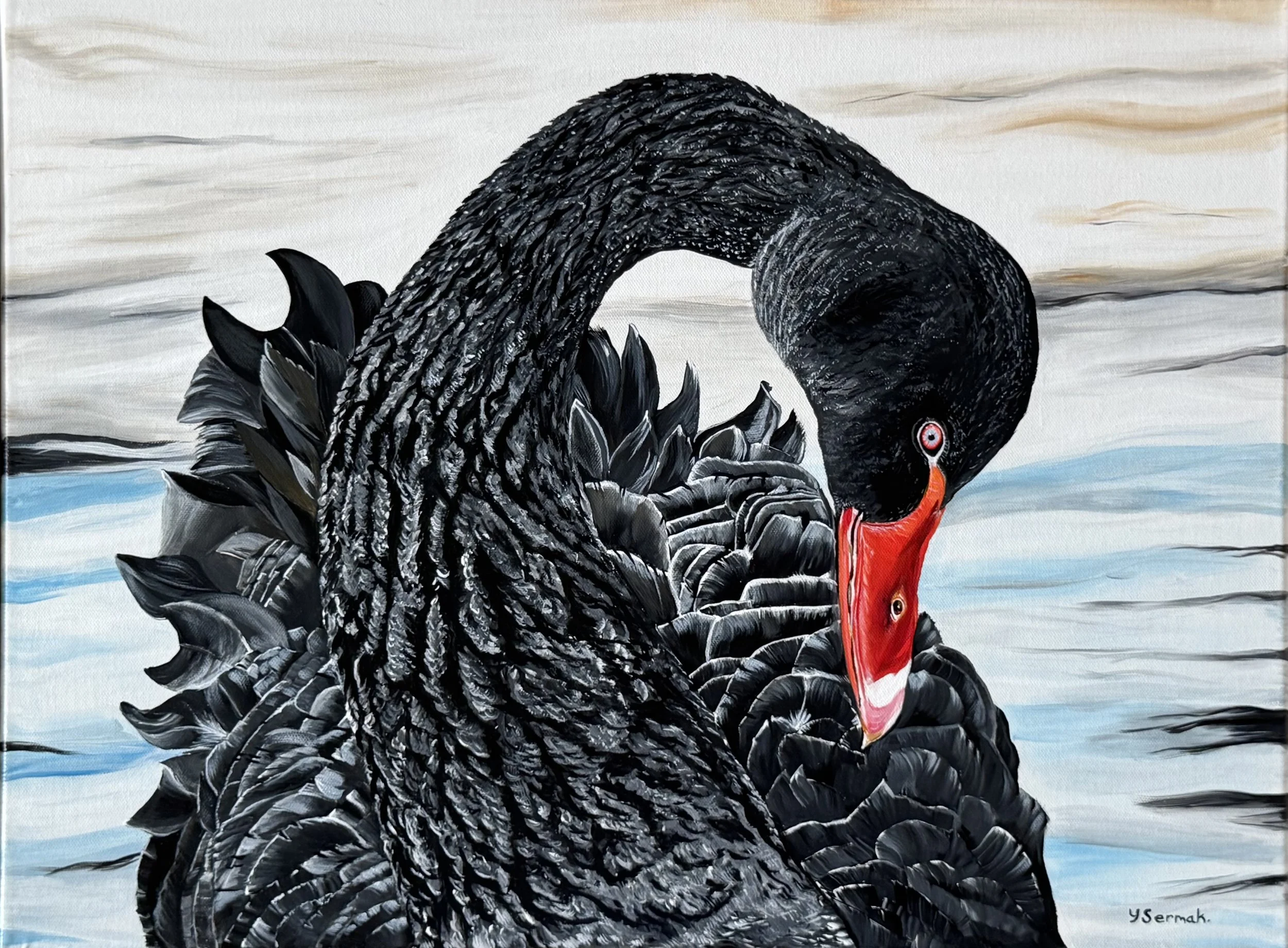 "Odile" Black Swan - Swan Lake 2