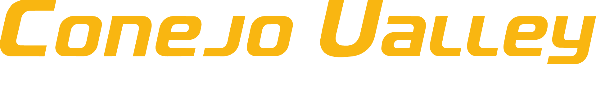 Canyon Valley Moving & Storage logo with yellow, white, and black text