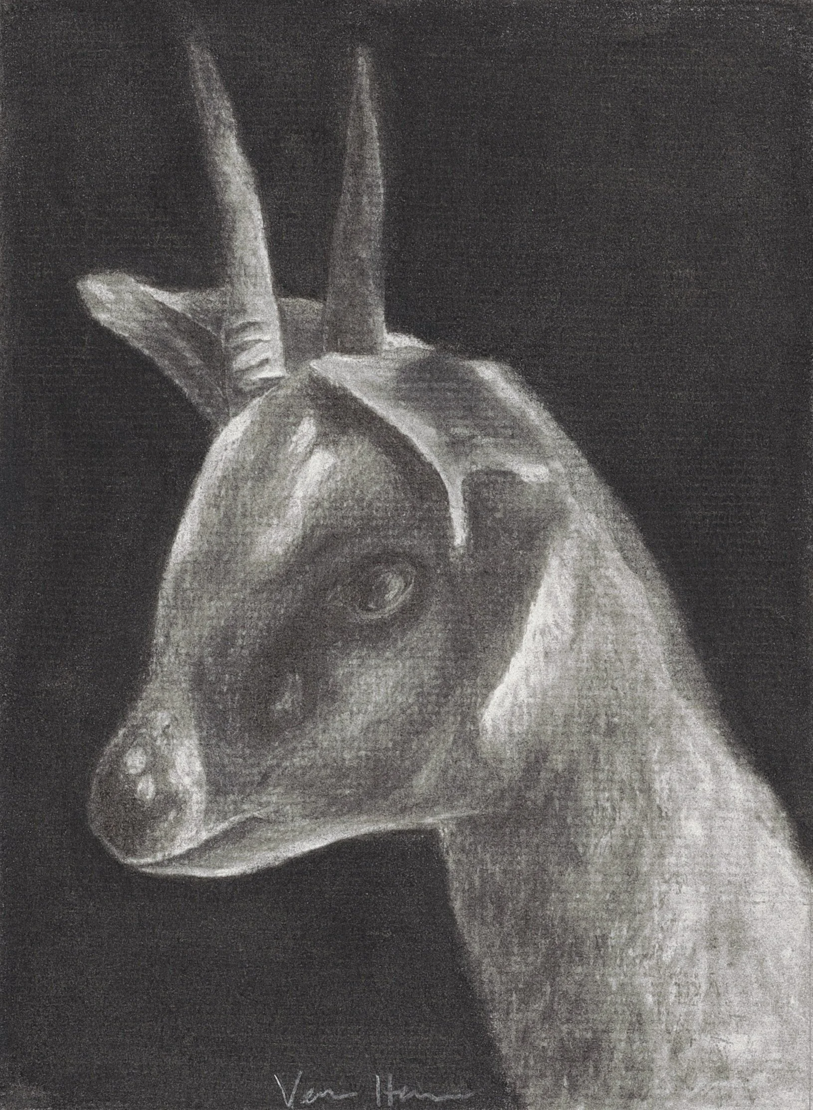 A black and white charcoal drawing of a deer, featuring detailed textures and shading.