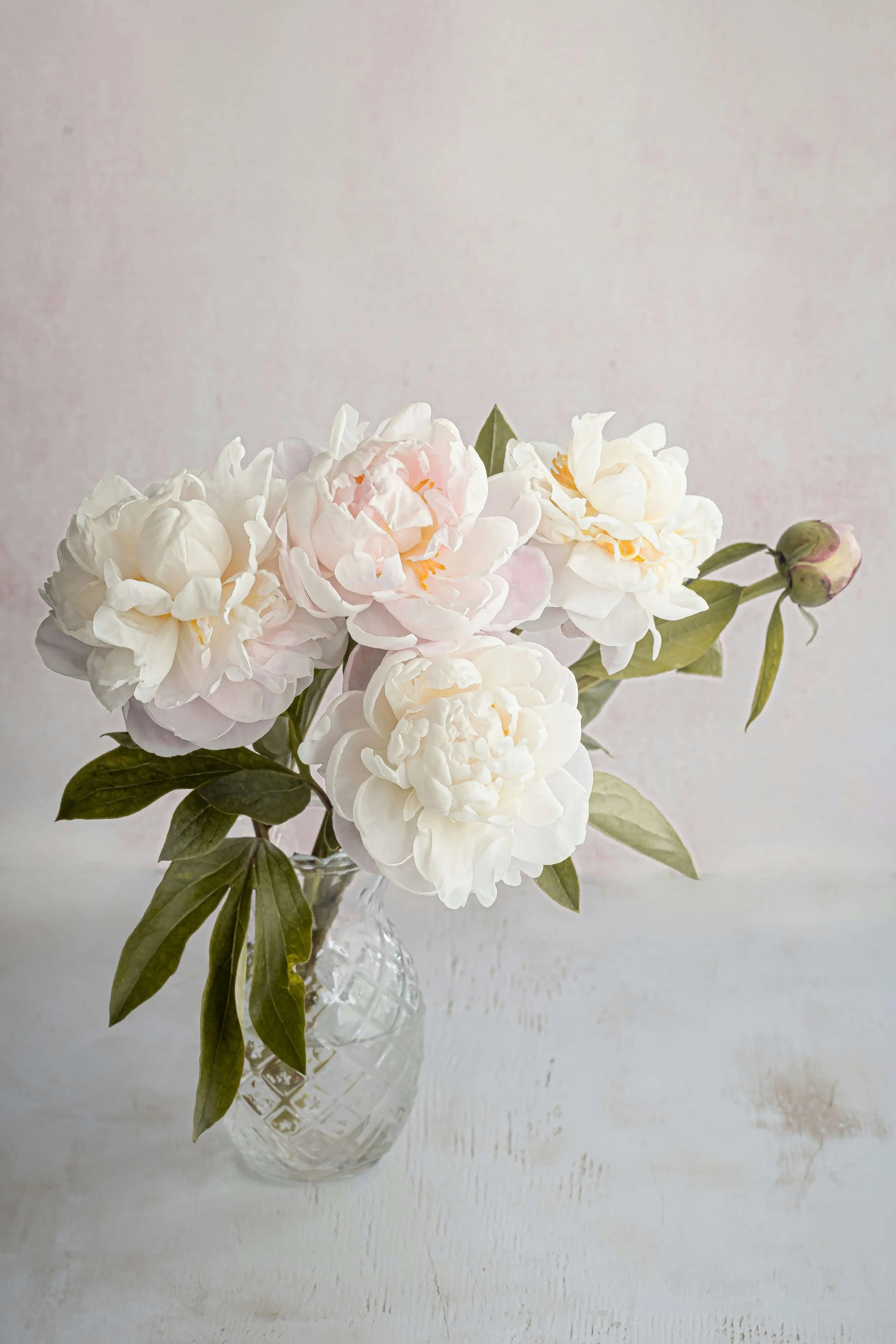 Beautiful white peonies representing a calm and welcoming atmosphere.