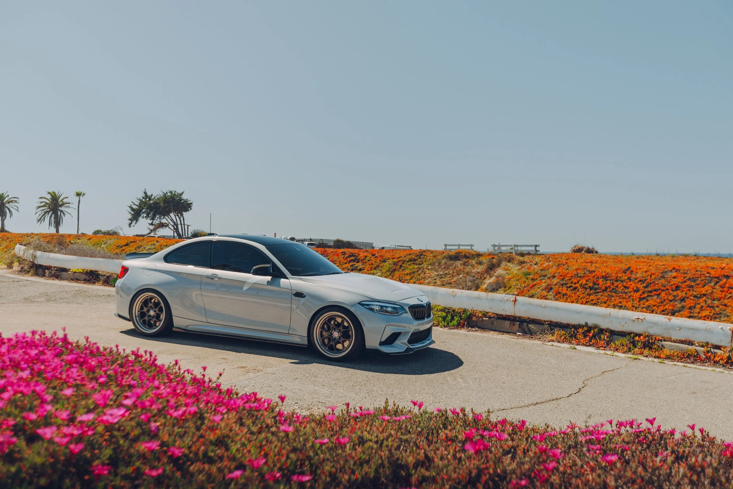 Coast highway BMW M2 photos on coast highway.