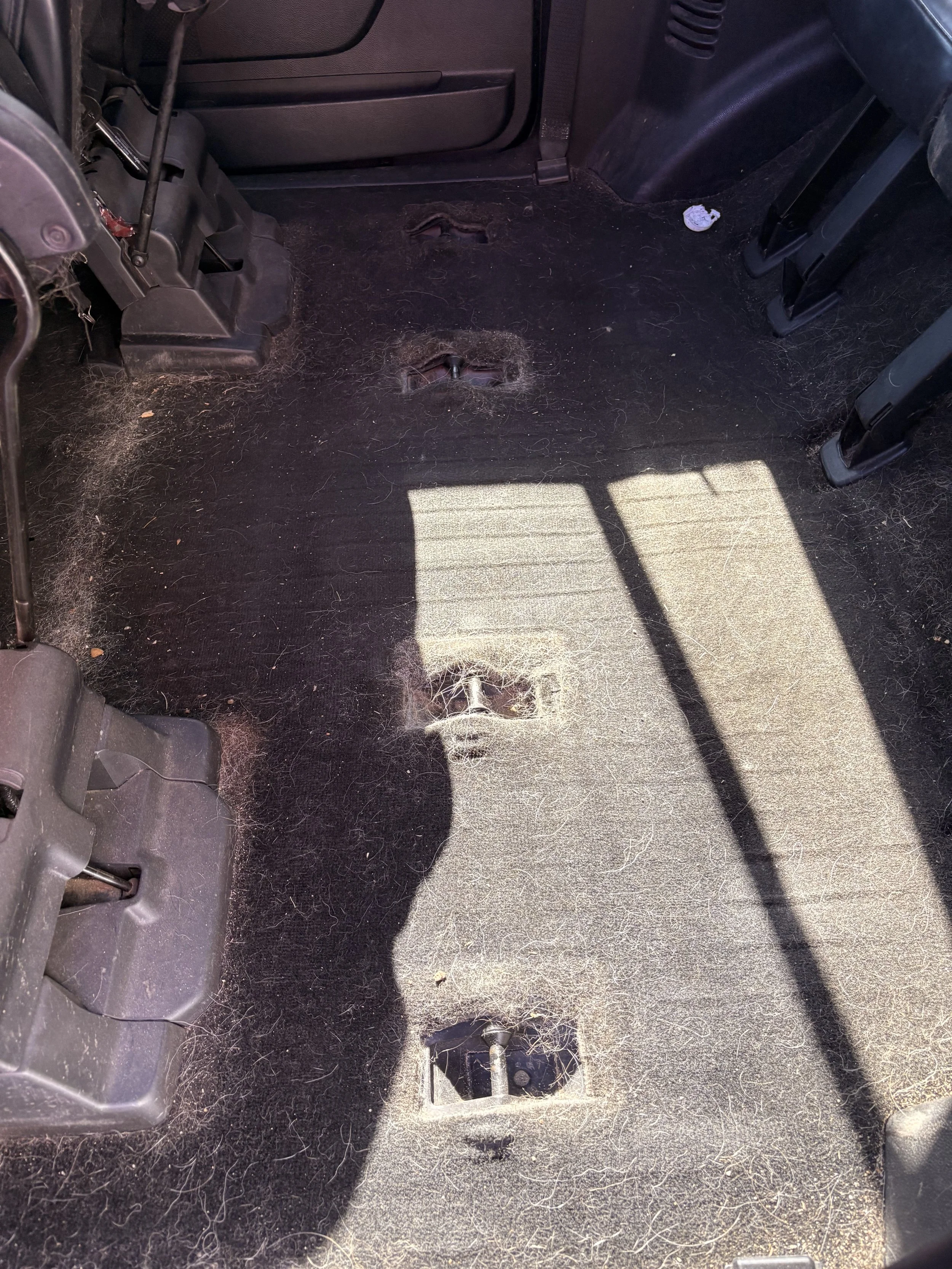 The interior of a vehicle with the floorboard exposed, showing dust, dirt, and some hair, with missing or damaged covers where seats would be bolted down.