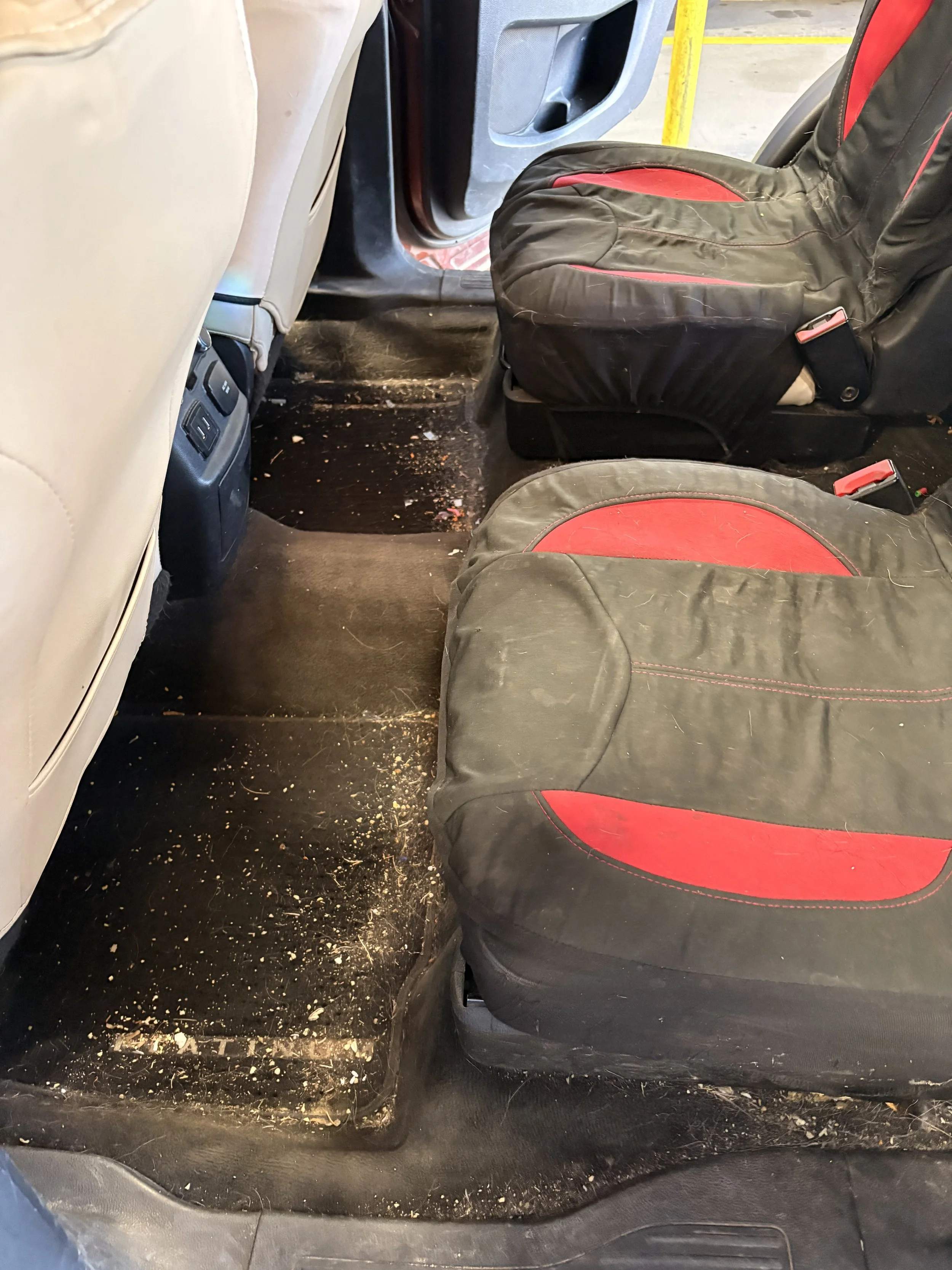 The back seat of a vehicle with black and red seat covers. The floor is dirty with scattered debris and crumbs.