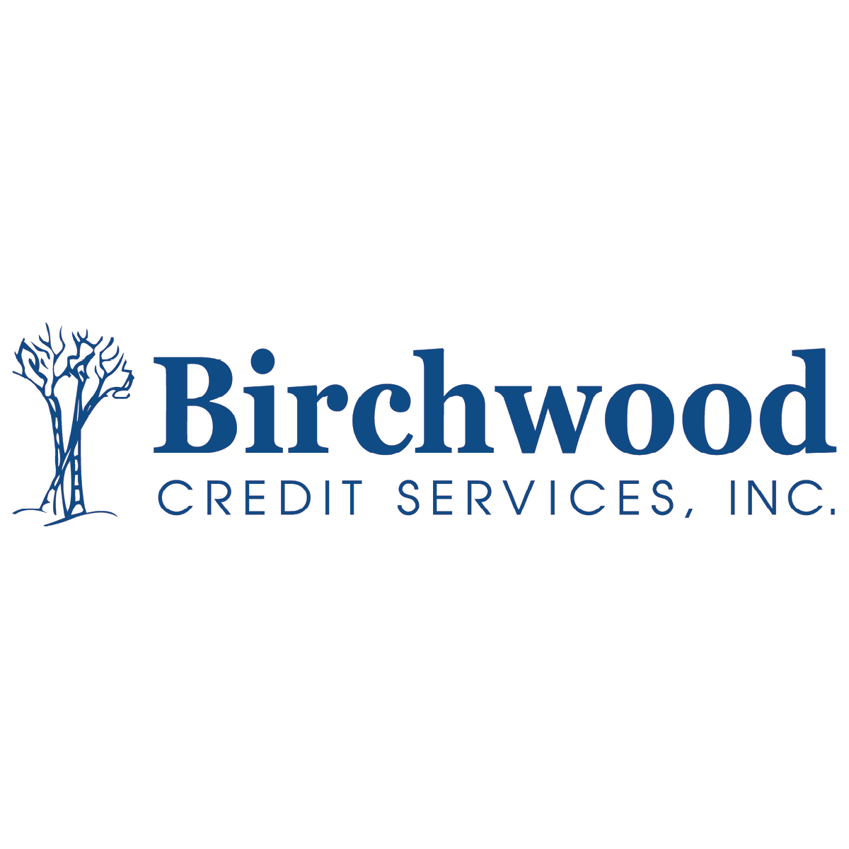 Birchwood Credit Services sponsor logo