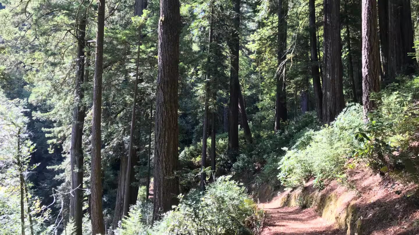 Hiking Trail