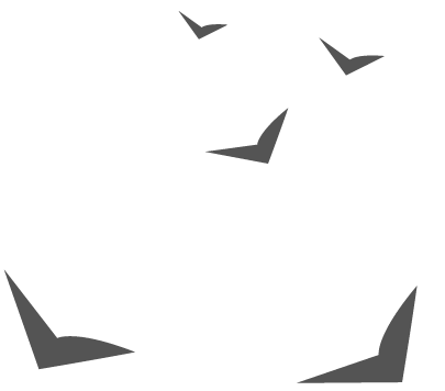 Silhouettes of birds flying against a sky.